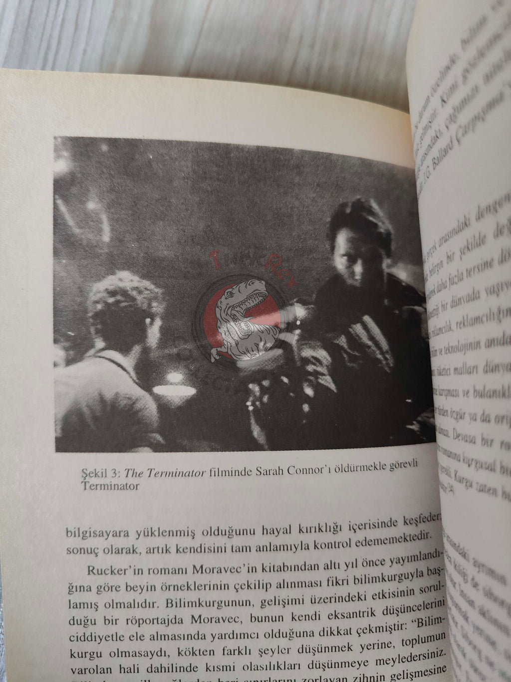 Claudia Springer – Electronic Eros 1998 1st Turkish Book Turkey