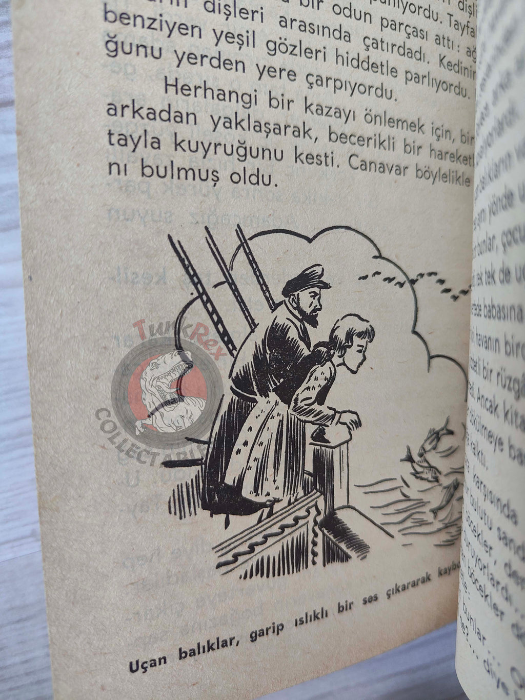Elena Eduardovna Granstrem – A Year on a Desert Island 1964 Turkish Book Turkey Illustrated