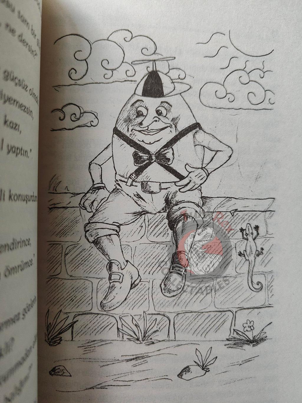 Lewis Carroll – Alice in Wonderland 2004 Turkish Book Turkey Illustrated