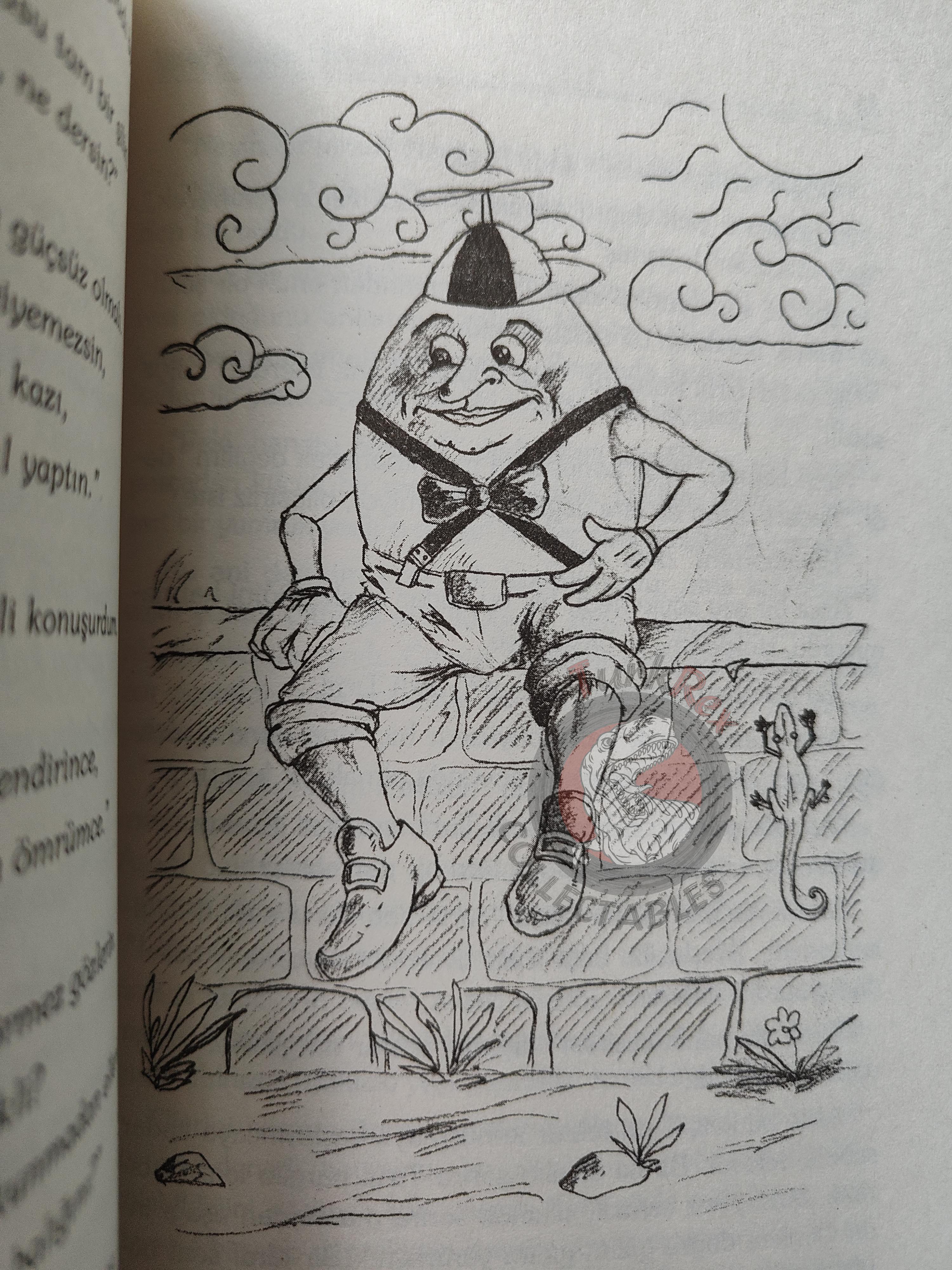 Lewis Carroll – Alice in Wonderland 2004 Turkish Book Turkey Illustrated