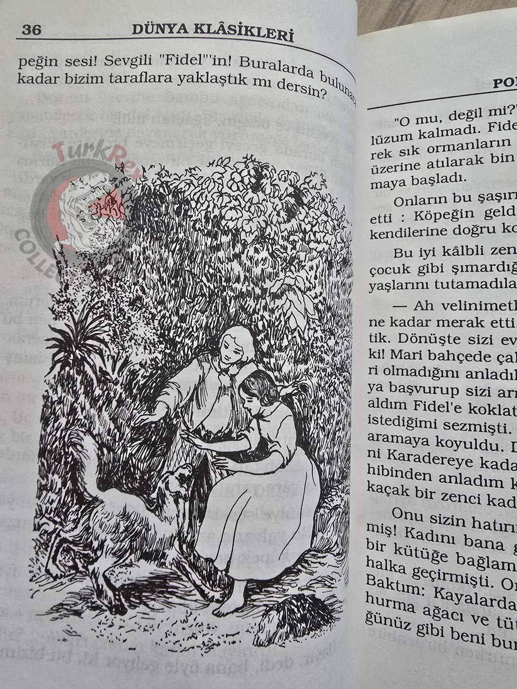 Bernardin de Saint-Pierre – Paul et Virginie 1990s Turkish Book Turkey Illustrated