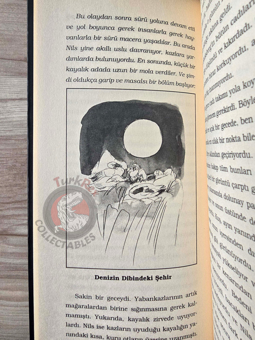 Selma Lagerlöf – The Wonderful Adventures Of Nils 2005 Illustrated Turkish Book Turkey