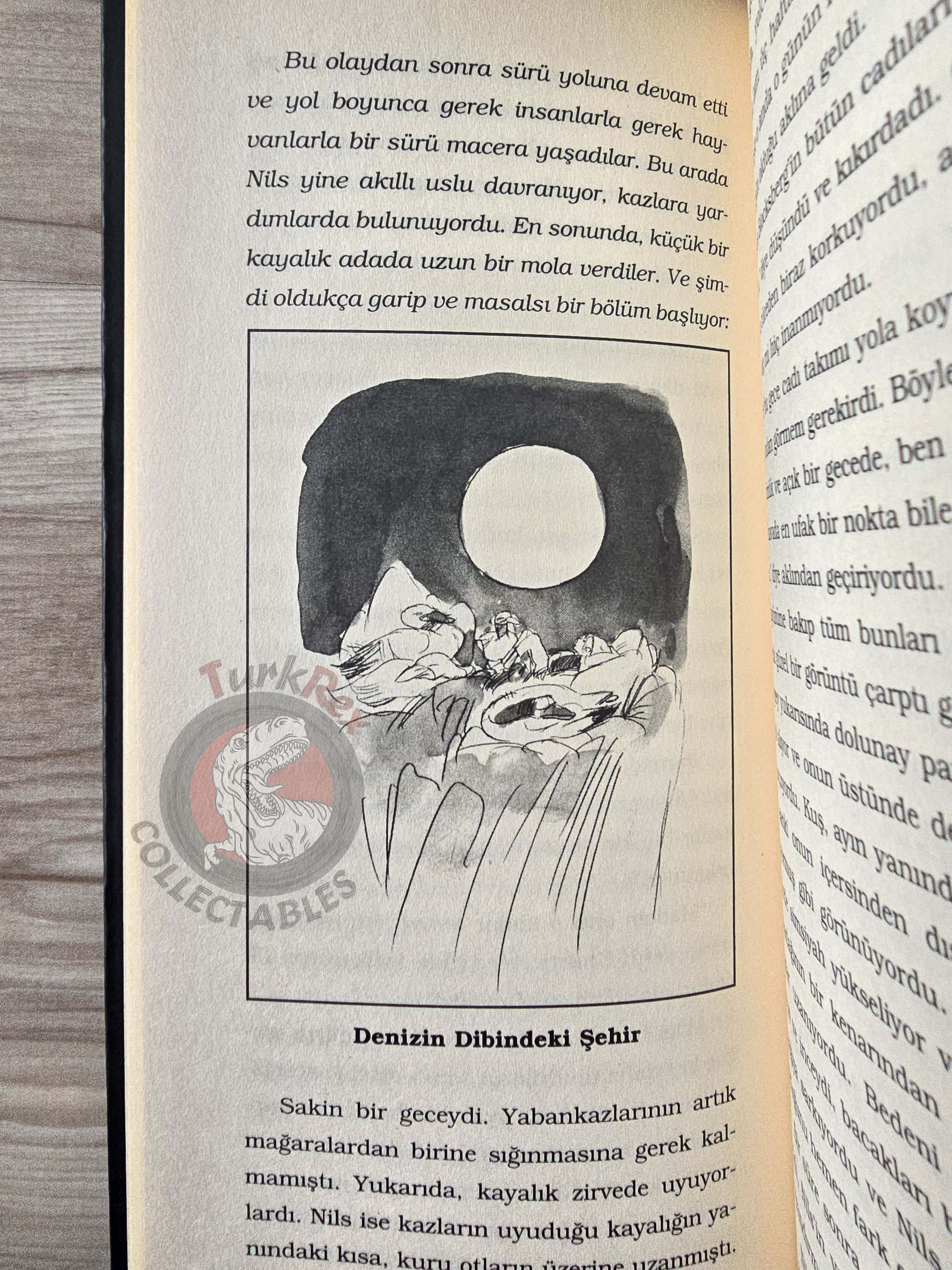 Selma Lagerlöf – The Wonderful Adventures Of Nils 2005 Illustrated Turkish Book Turkey