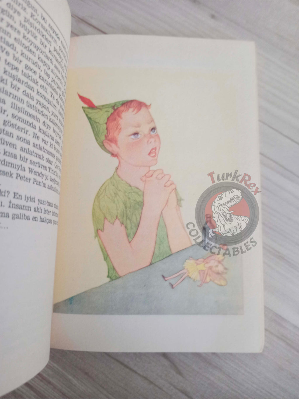 J. M. Barrie – Peter Pan 1985 Turkish Book Turkey Illustrated Arthur Rackham