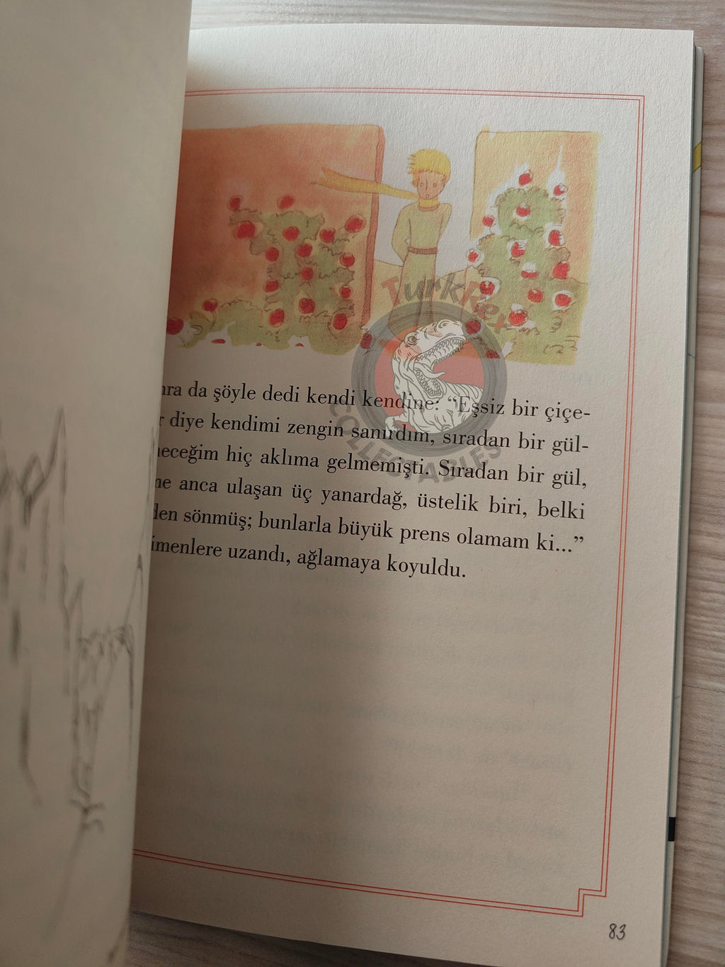 Antoine de Saint-Exupéry – Le Petit Prince 2015 Turkish Book Turkey Illustrated Little 7