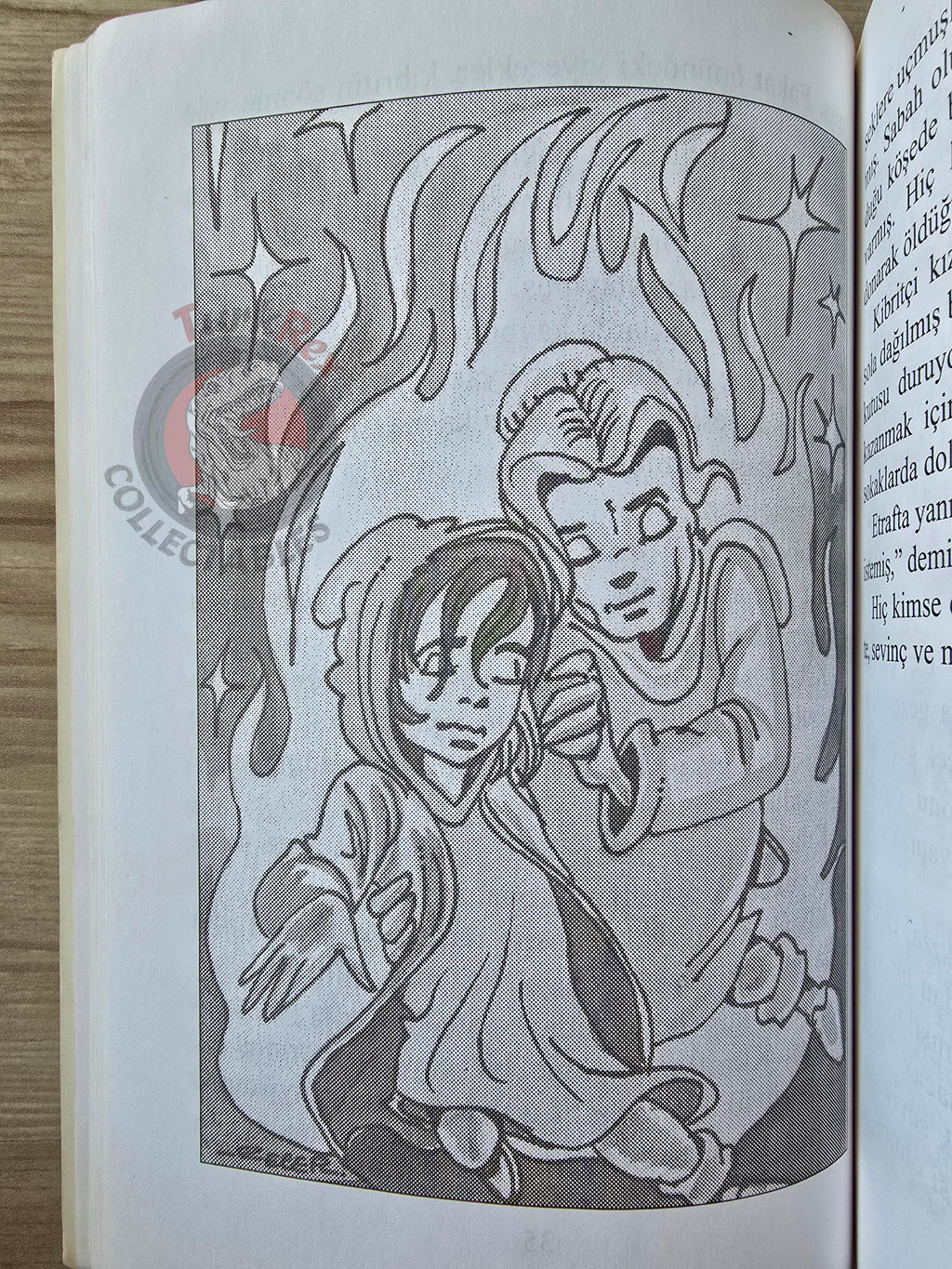 Puss in Boots – Grimm Brothers 2005 Turkish Book Turkey Illustrated