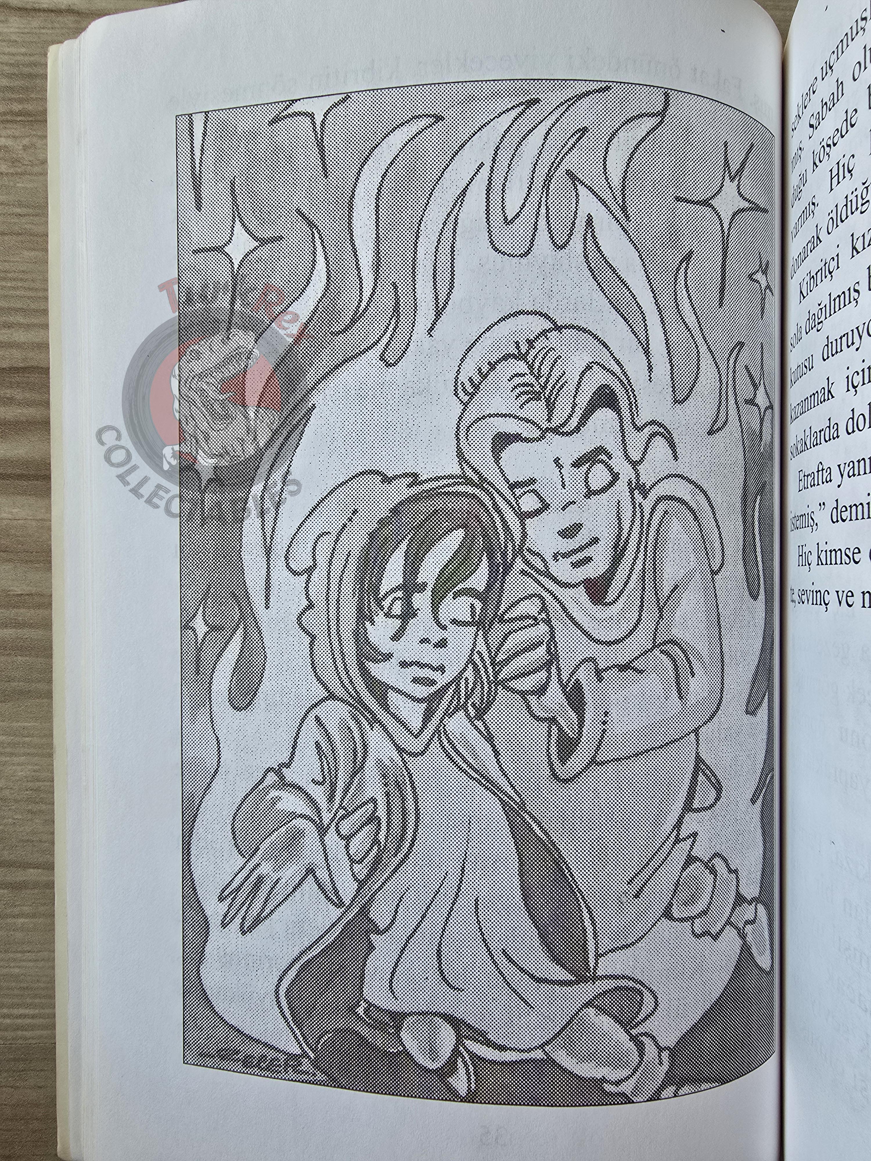 Puss in Boots – Grimm Brothers 2005 Turkish Book Turkey Illustrated