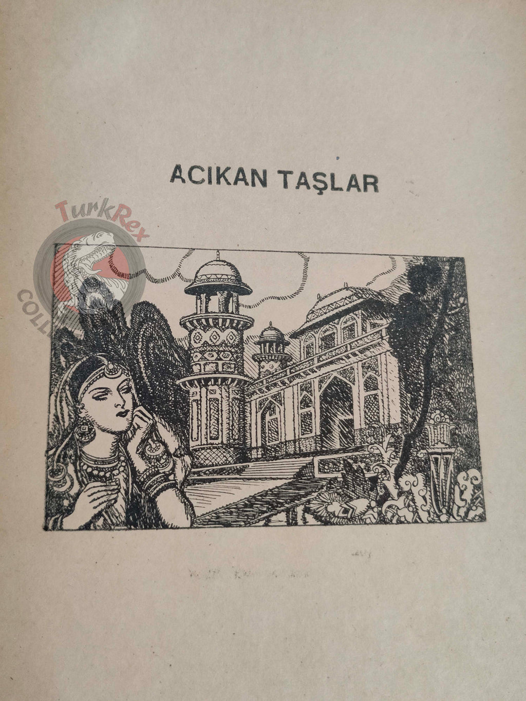 Rabindranath Tagore – Hungry Stones 1946 1st Turkish Book Turkey