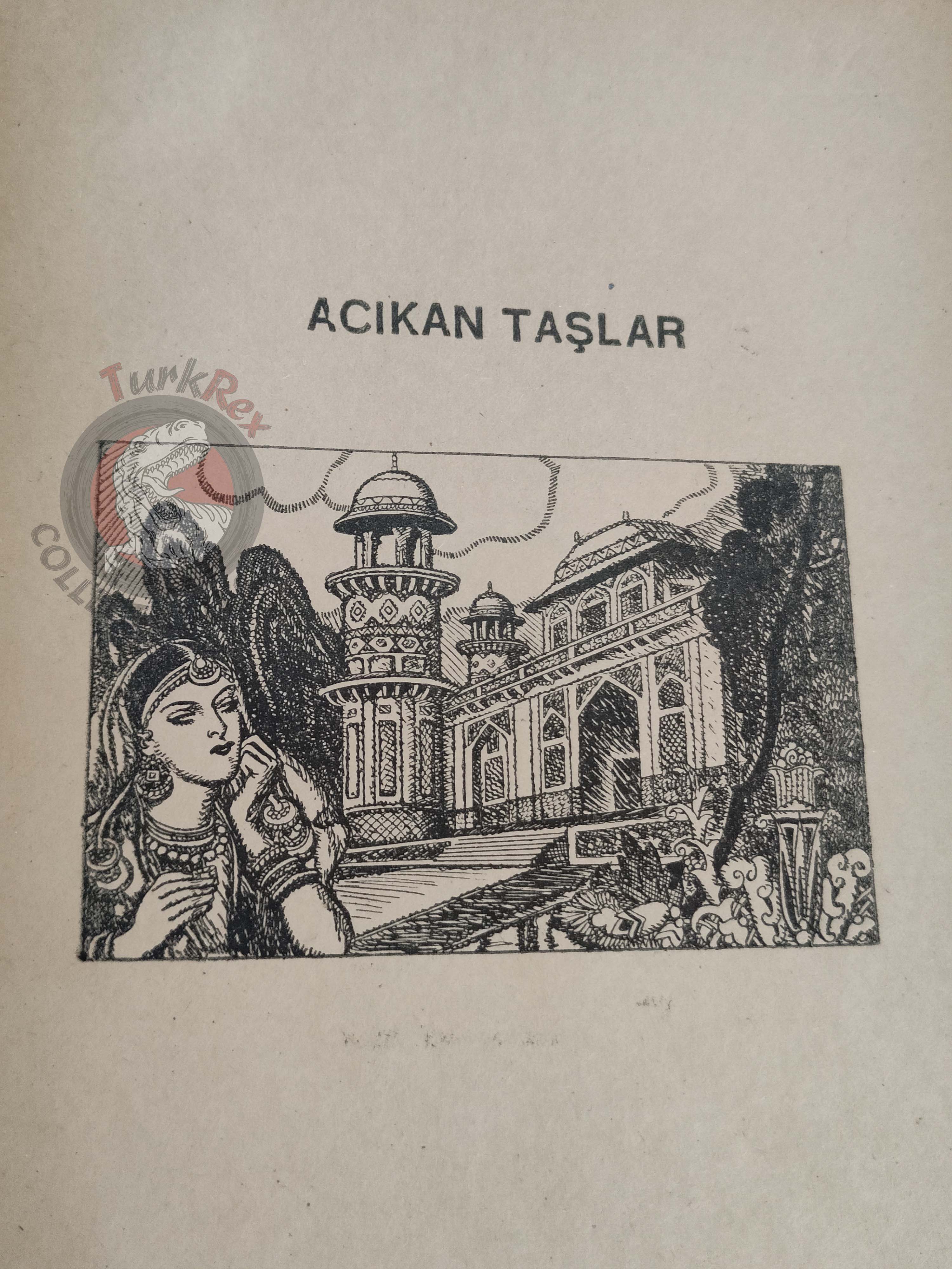 Rabindranath Tagore – Hungry Stones 1946 1st Turkish Book Turkey