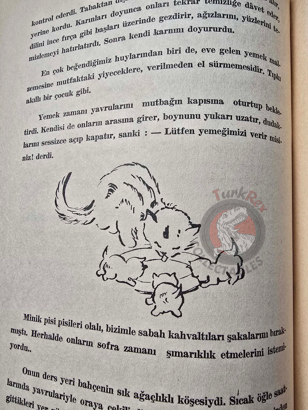 İffet İnan – Kımav 1956 Turkish Book Turkey Illustrated Cat