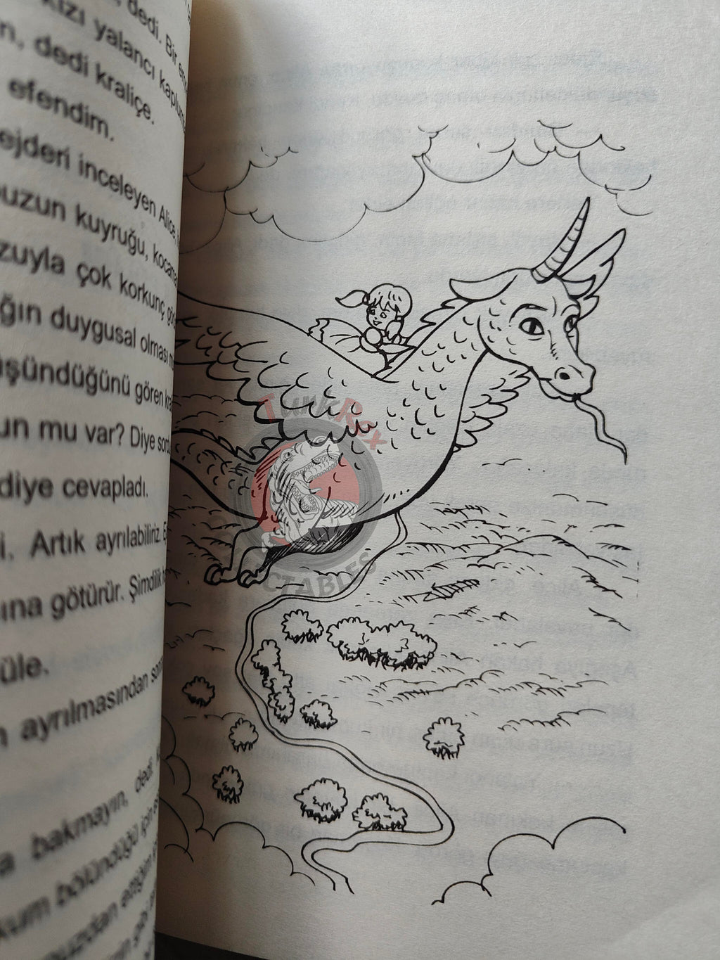 Lewis Carroll – Alice in Wonderland 2000s Turkish Book Turkey Illustrated 2