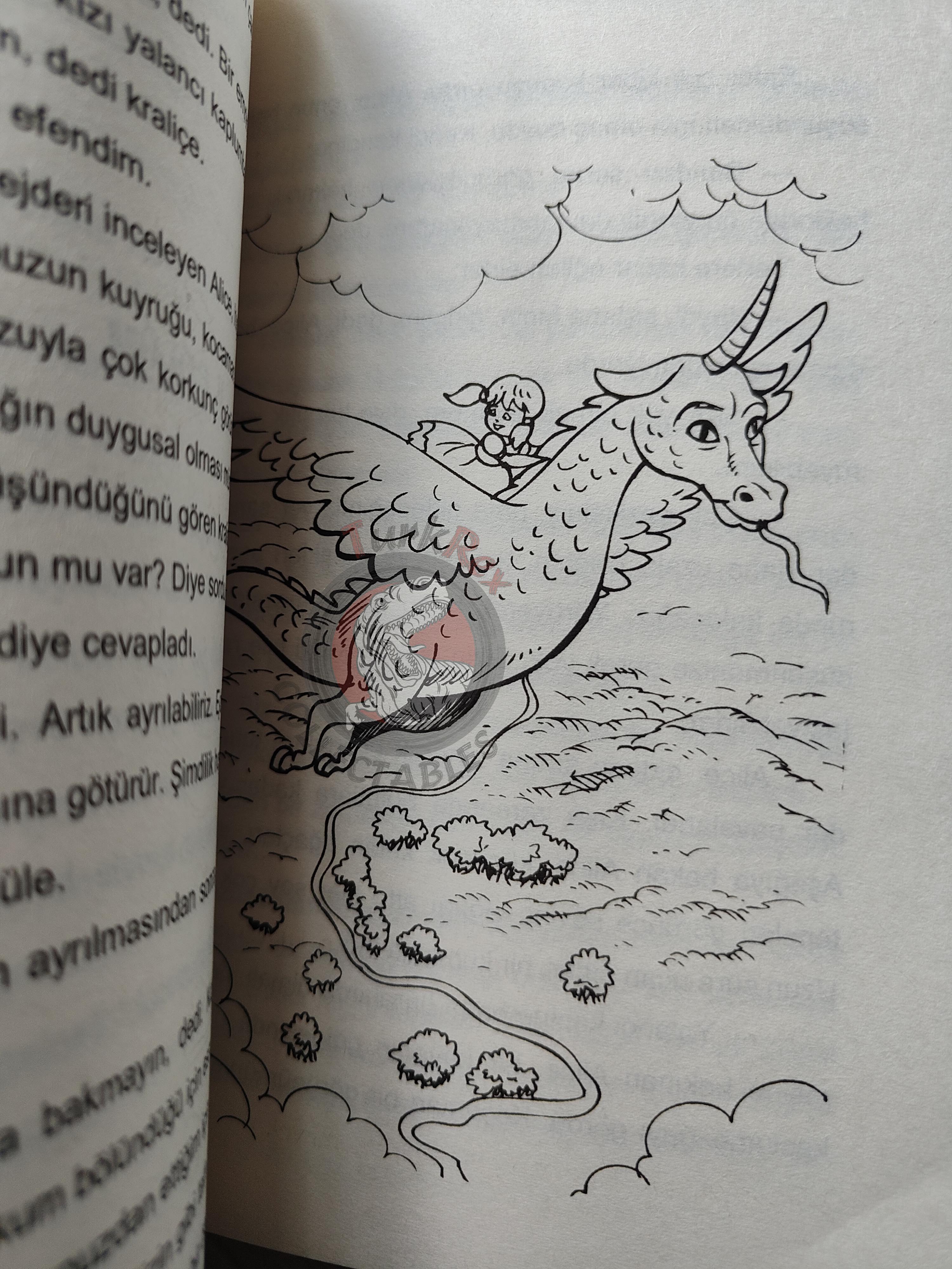 Lewis Carroll – Alice in Wonderland 2000s Turkish Book Turkey Illustrated 2