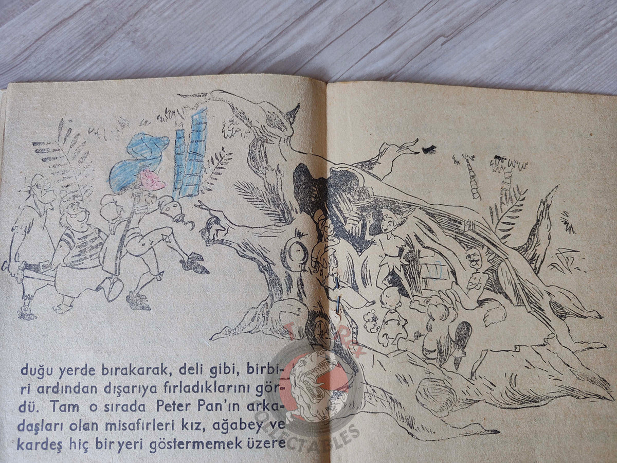 J. M. Barrie – Peter Pan 1961 Turkish Book Turkey Illustrated