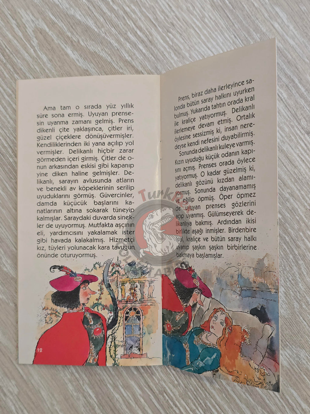 Grimm Brothers –  Sleeping Beauty 2011 Turkish Book Turkey Illustrated