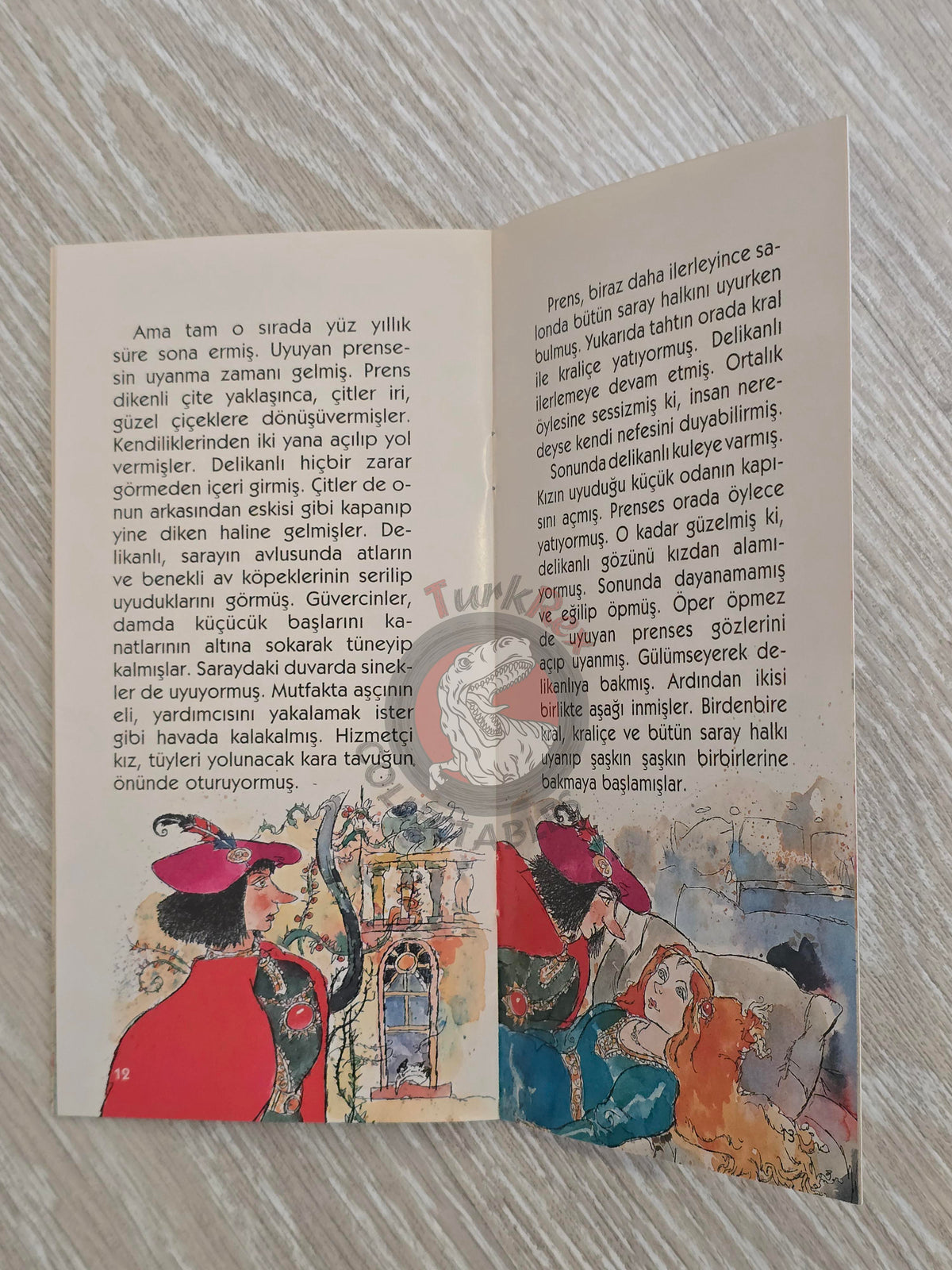Grimm Brothers –  Sleeping Beauty 2011 Turkish Book Turkey Illustrated