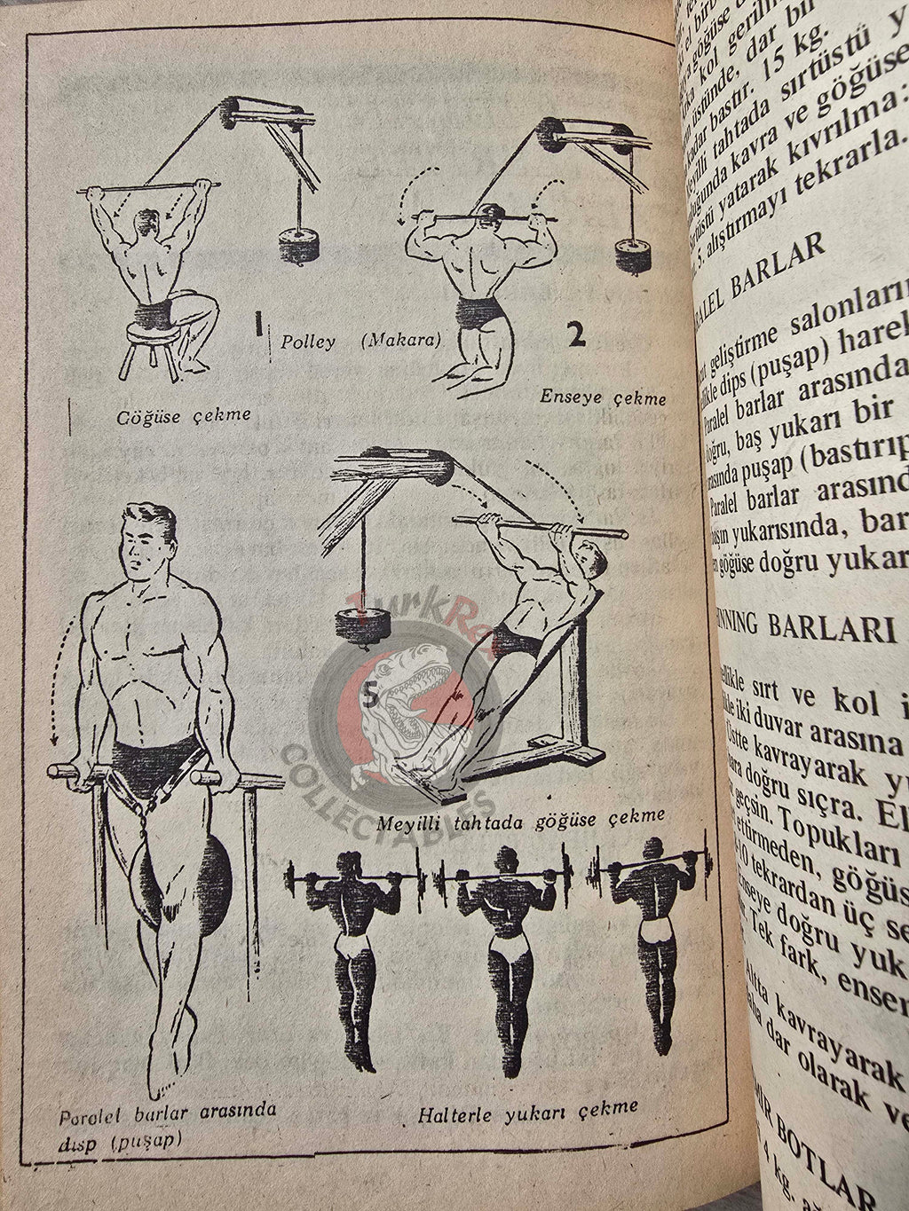 Bodybuilding Technics 1989 Turkish Book Turkey Lou Ferrigno Joe Bucci