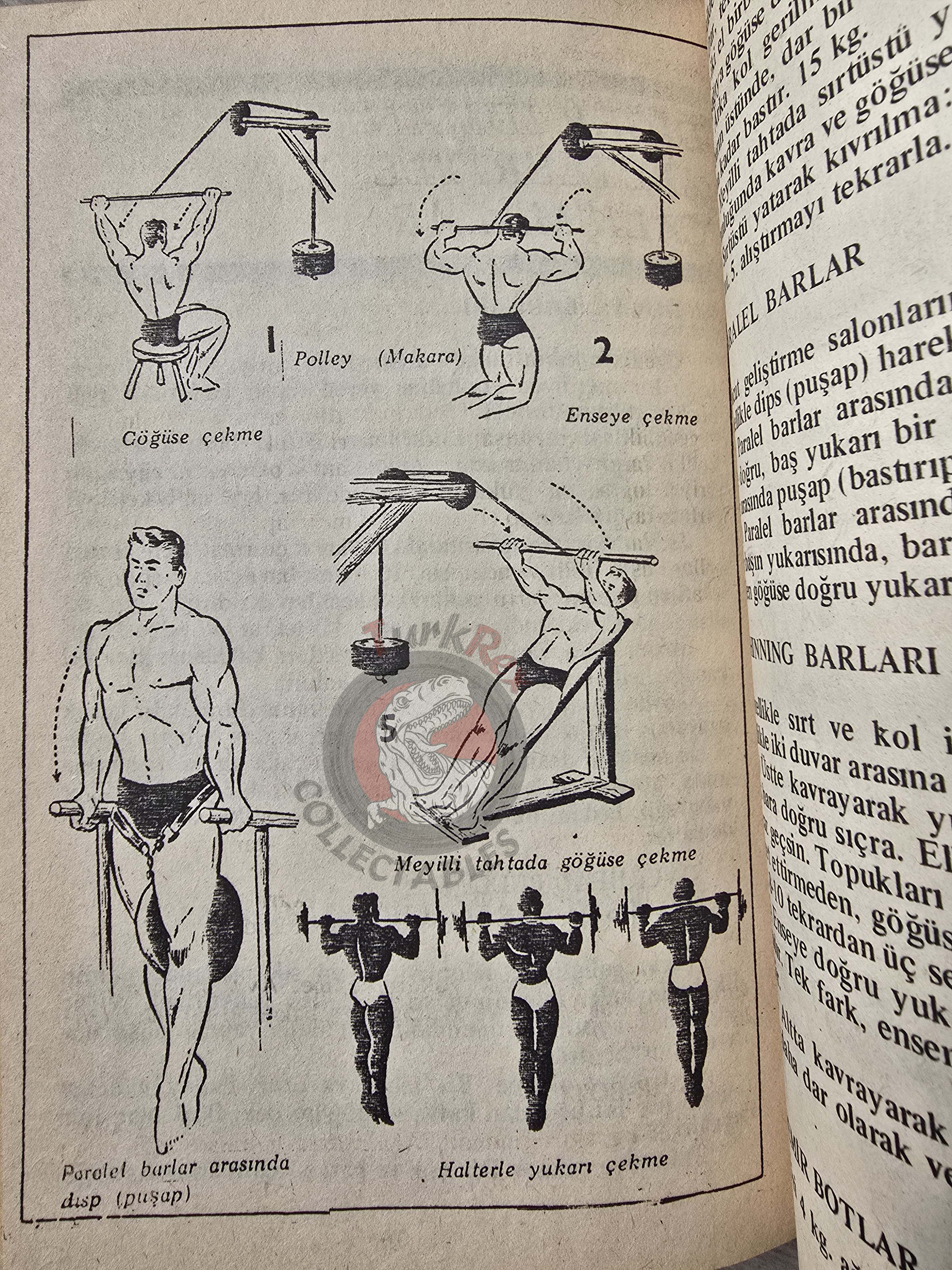 Bodybuilding Technics 1989 Turkish Book Turkey Lou Ferrigno Joe Bucci