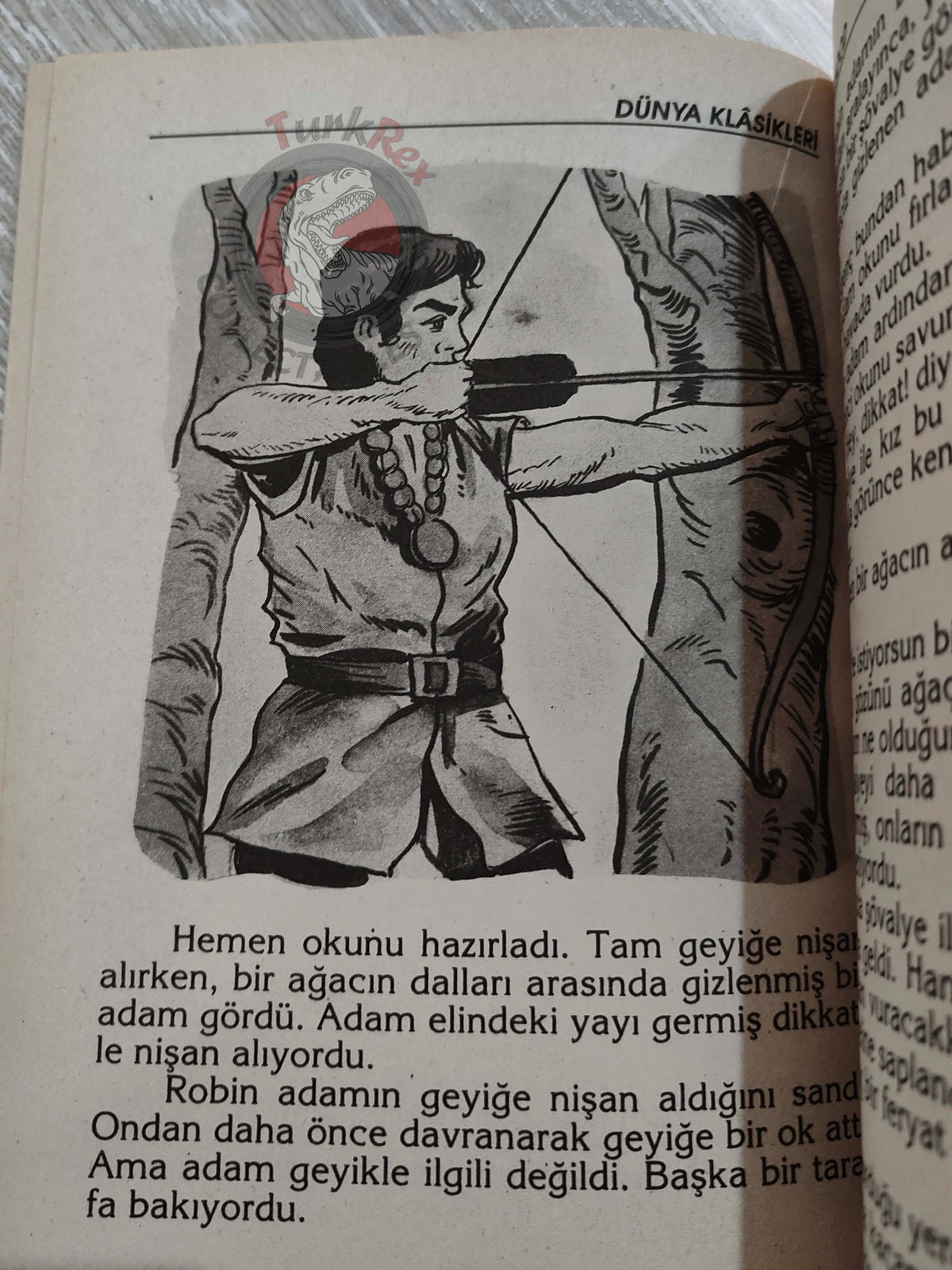Robin Hood – Howard Pyle 1998 Turkish Book Turkey Illustrated
