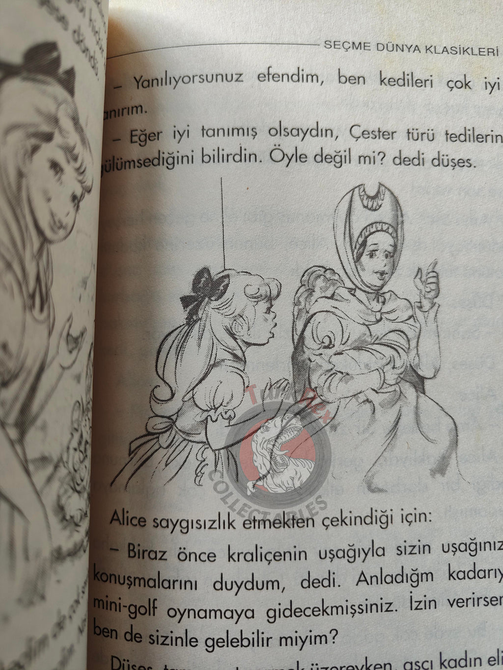 Lewis Carroll – Alice in Wonderland 2005 Turkish Book Turkey Illustrated