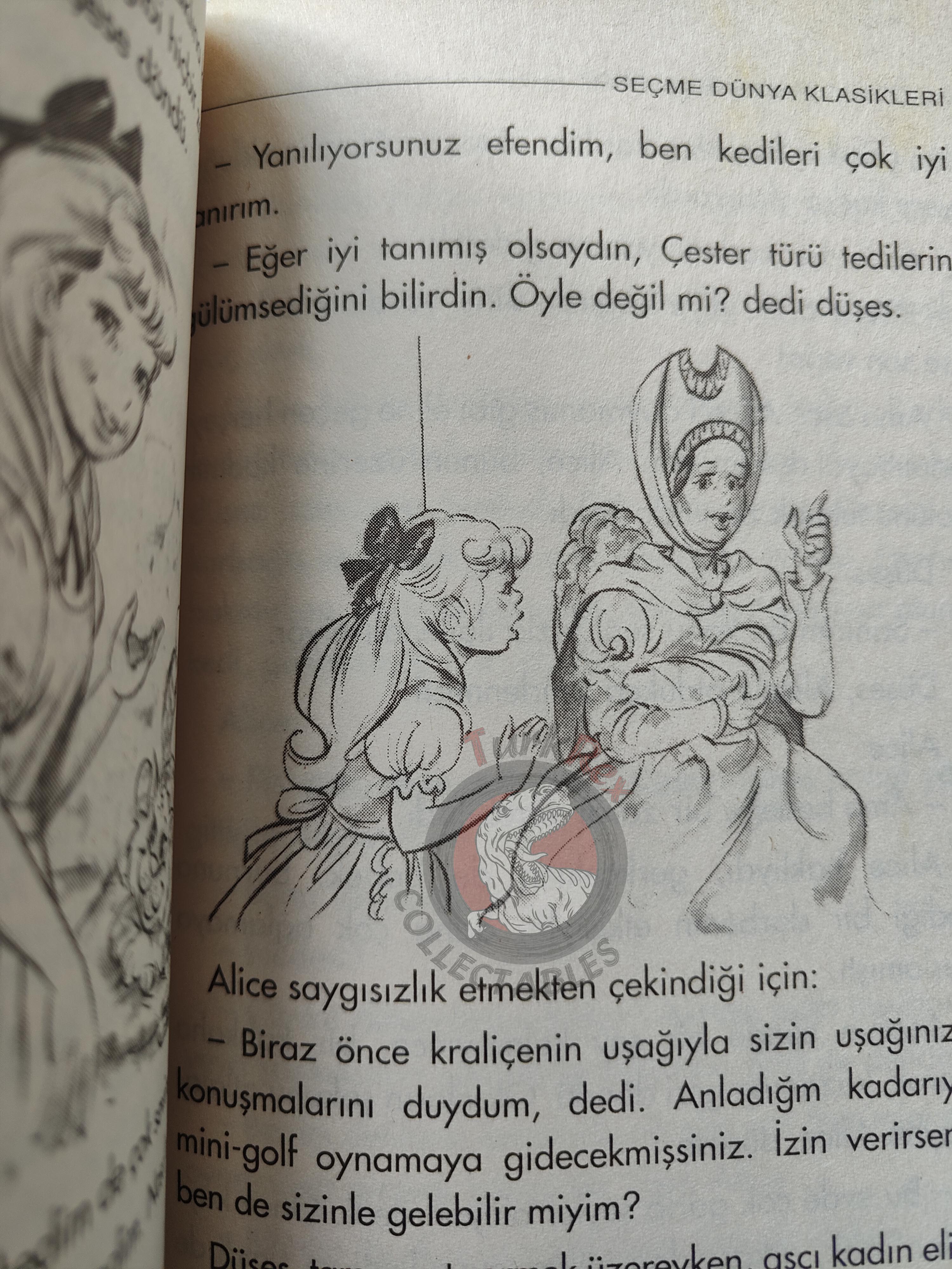 Lewis Carroll – Alice in Wonderland 2005 Turkish Book Turkey Illustrated