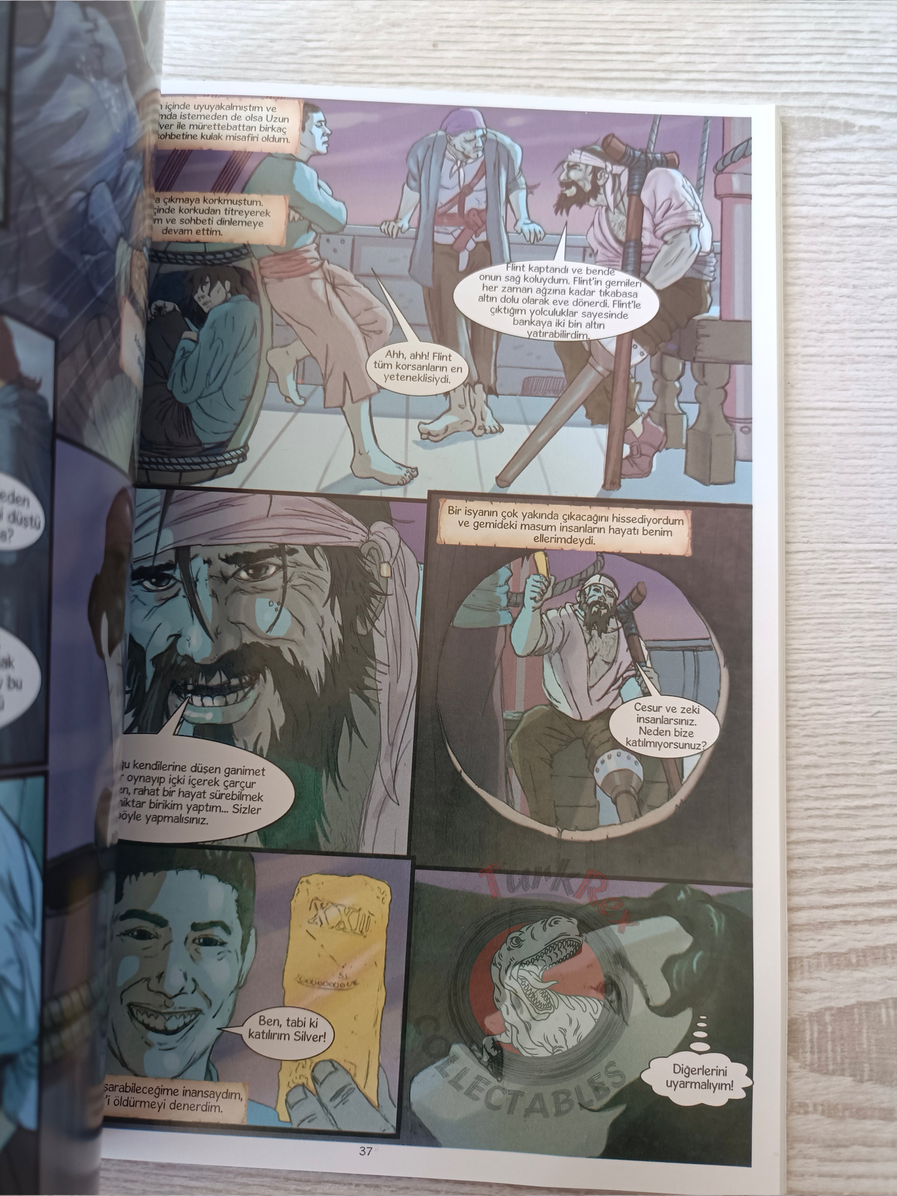 Treasure Island – Robert Louis Stevenson Turkish Comic Turkey Campfire Classics