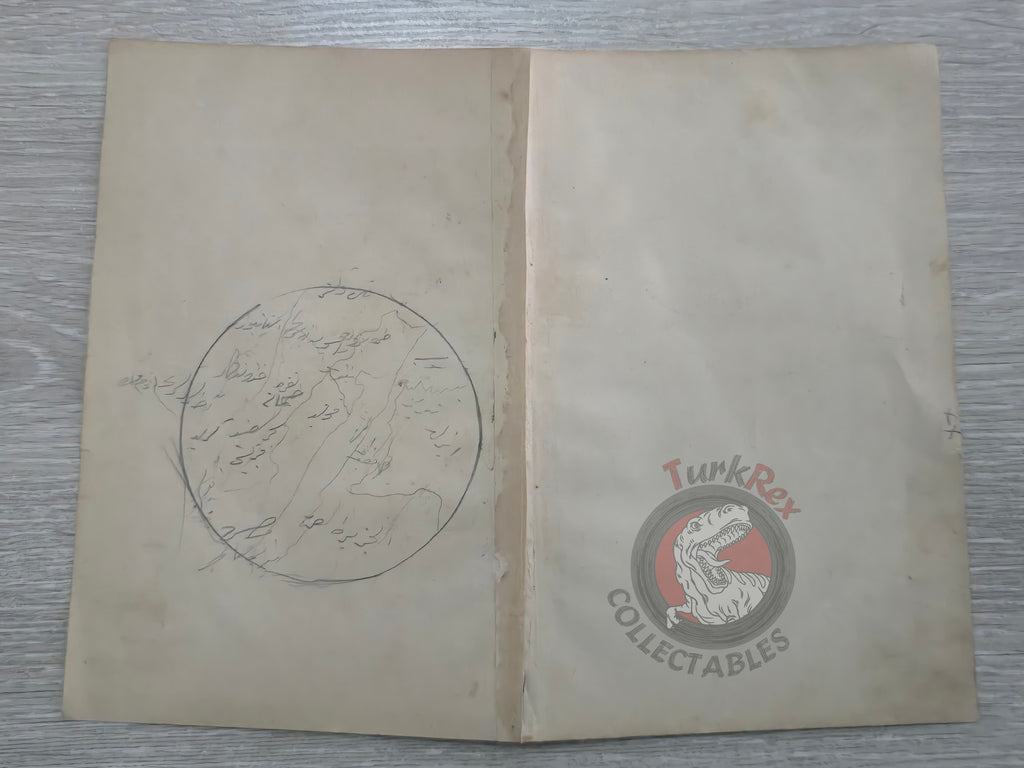 Ottoman Map of the World Hemispheres 1876 Ottoman Empire Continents Asia Europe
