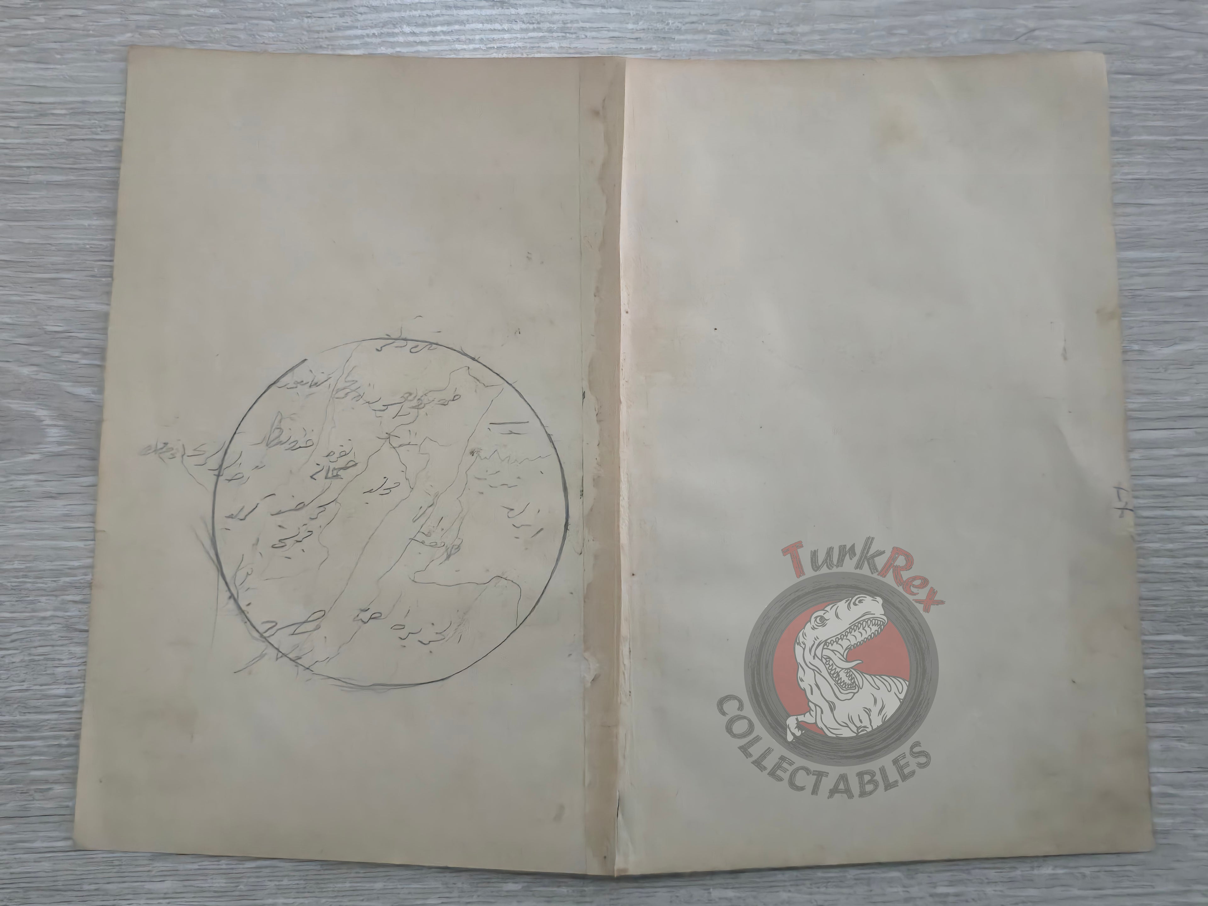 Ottoman Map of the World Hemispheres 1876 Ottoman Empire Continents Asia Europe