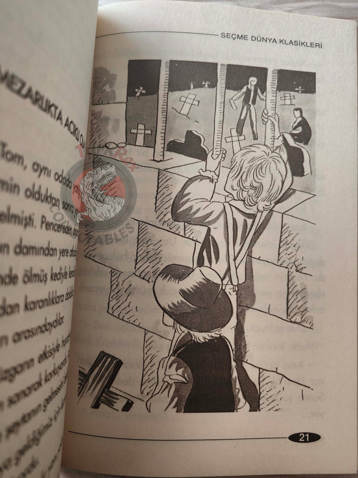 Mark Twain – Tom Sawyer 2005 Turkish Book Turkey Illustrated