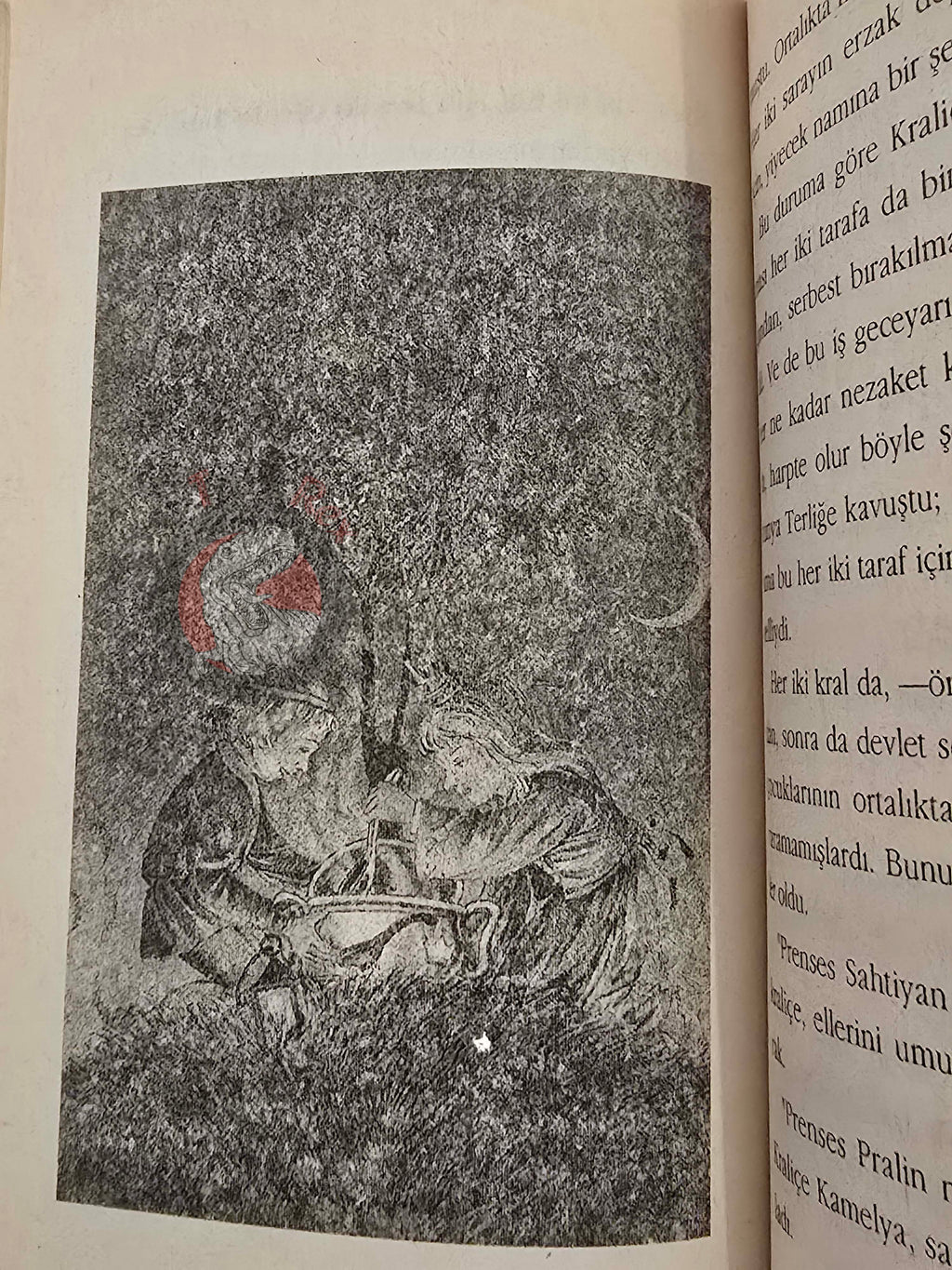 Michael Ende – Die Zauberschule 1995 1st Turkish Book Turkey Illustrated
