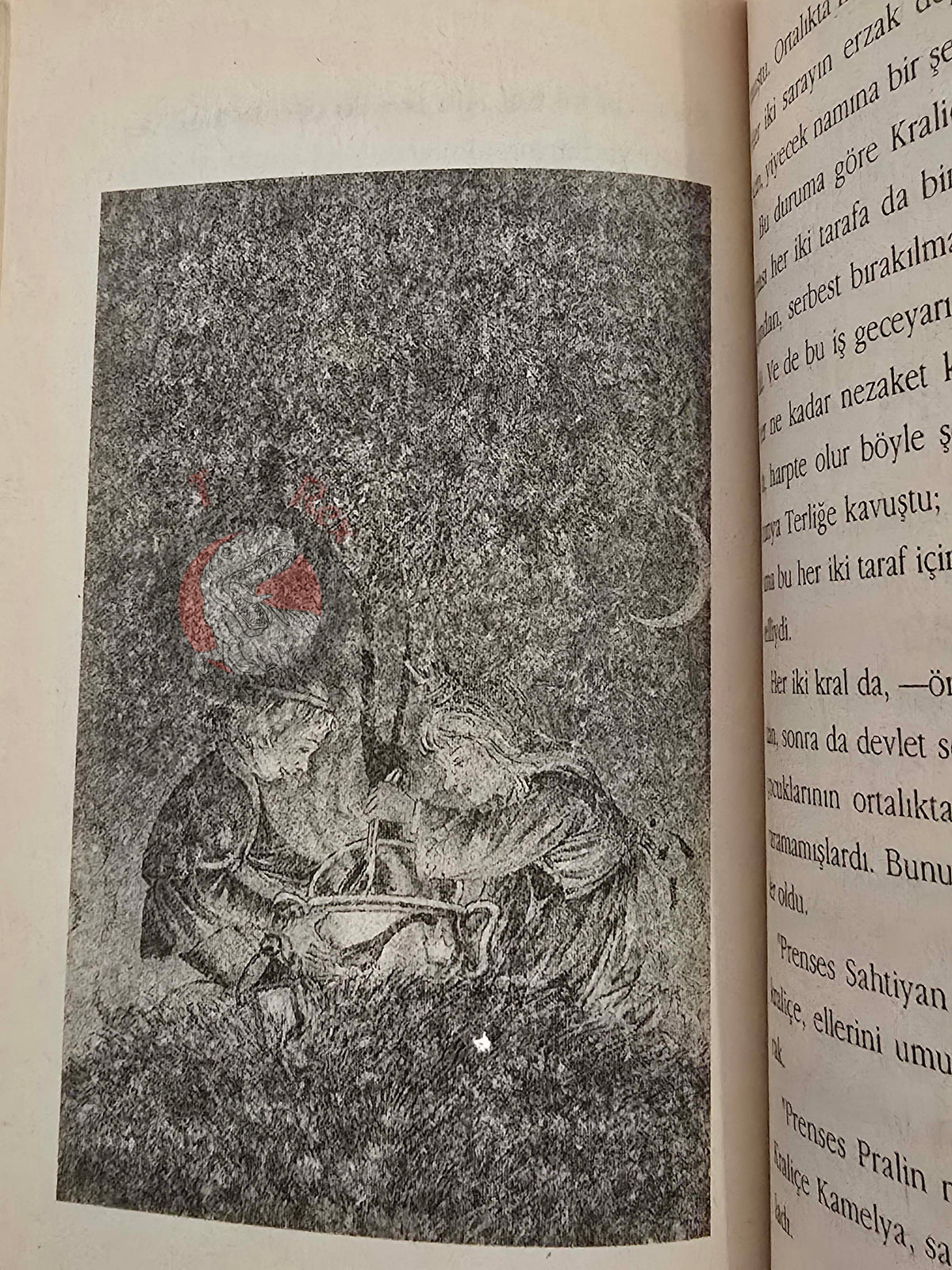 Michael Ende – Die Zauberschule 1995 1st Turkish Book Turkey Illustrated