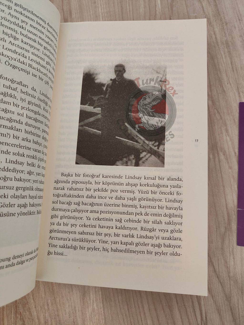 David Lindsay – A Voyage to Arcturus 2017 Turkish Book Turkey