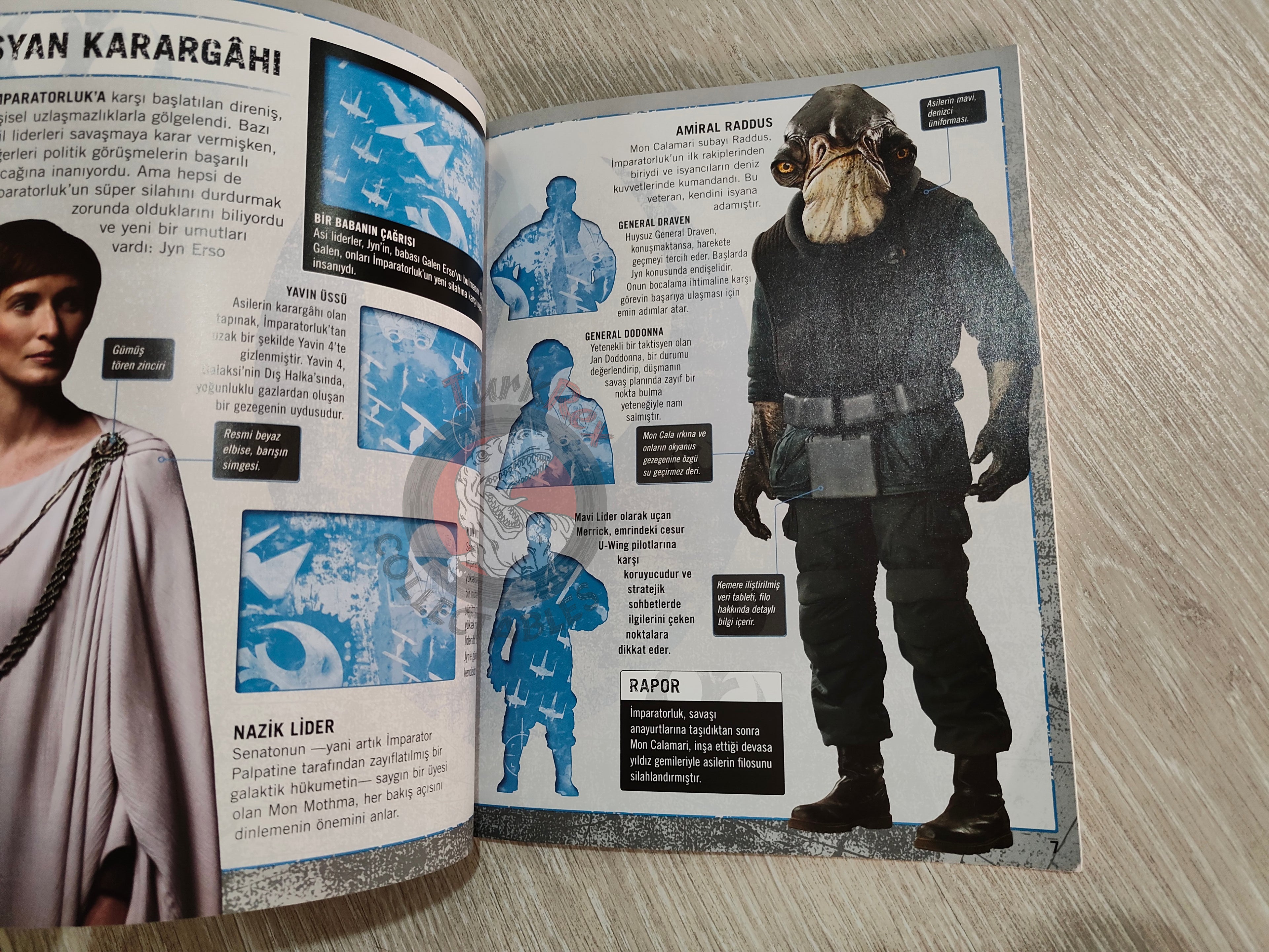 Star Wars: Rogue One: Ultimate Sticker Encyclopedia 2017 Turkish Book Turkey