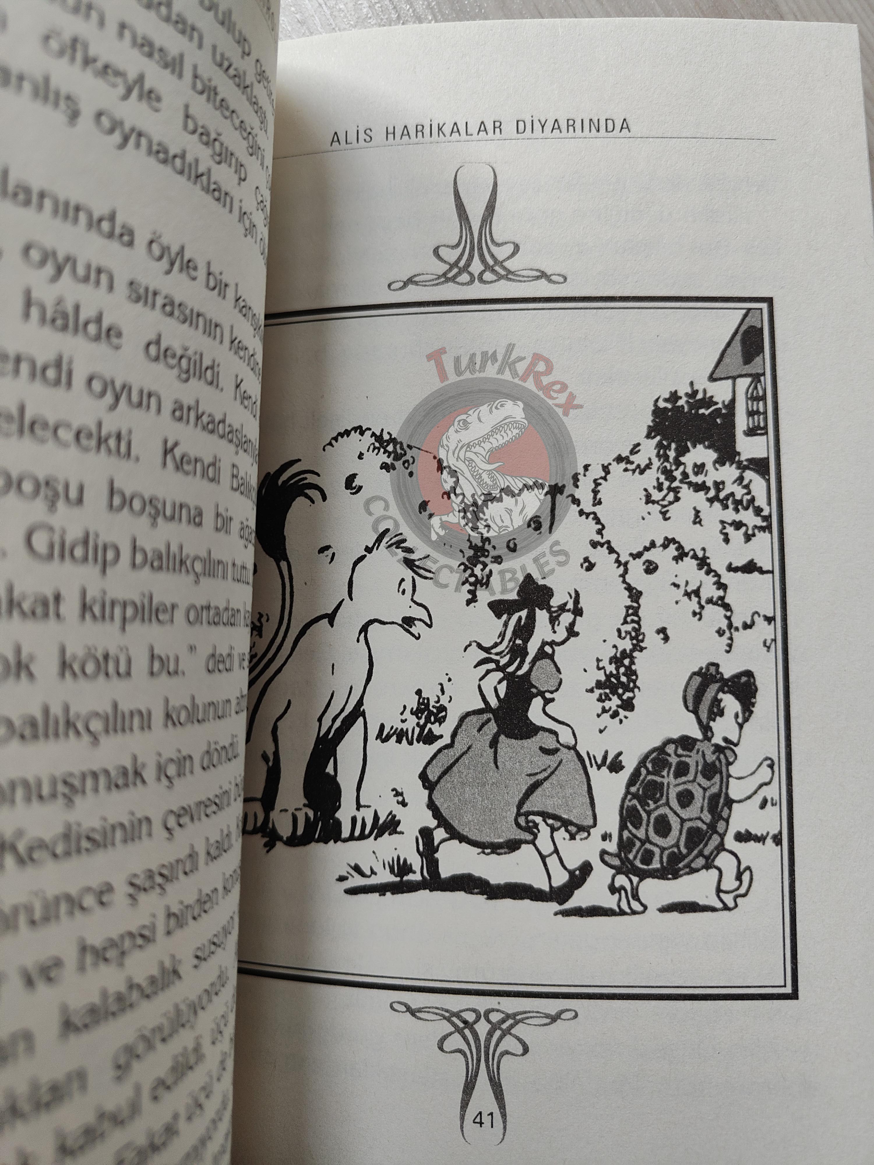 Lewis Carroll – Alice in Wonderland 2006 Turkish Book Turkey Illustrated