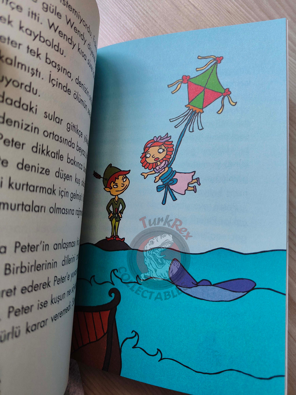 J. M. Barrie – Peter Pan 2009 Turkish Book Turkey Illustrated 5