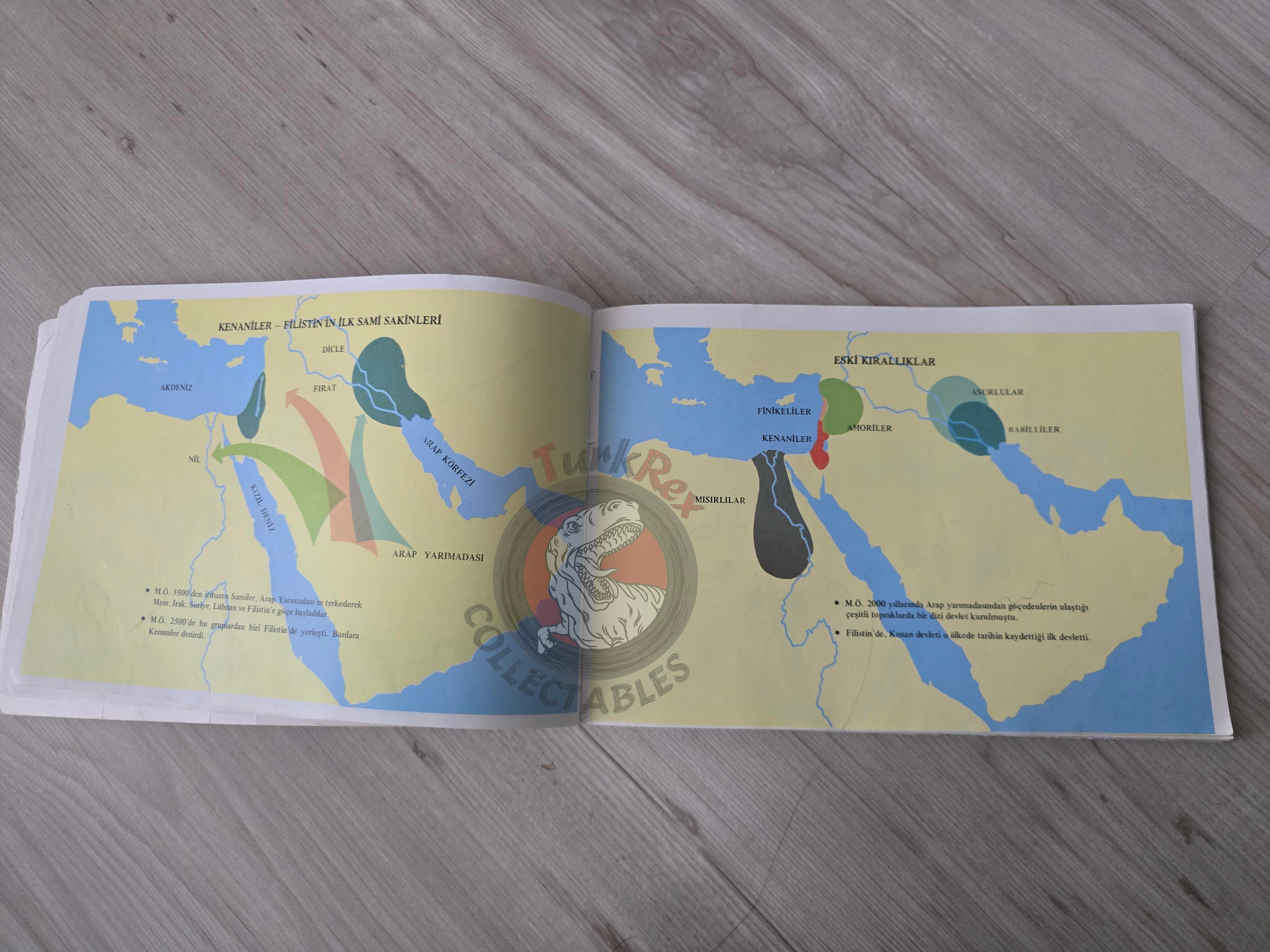 Illustrated Political History of Palestine 1980 PLO Propaganda Turkish Book Turkey