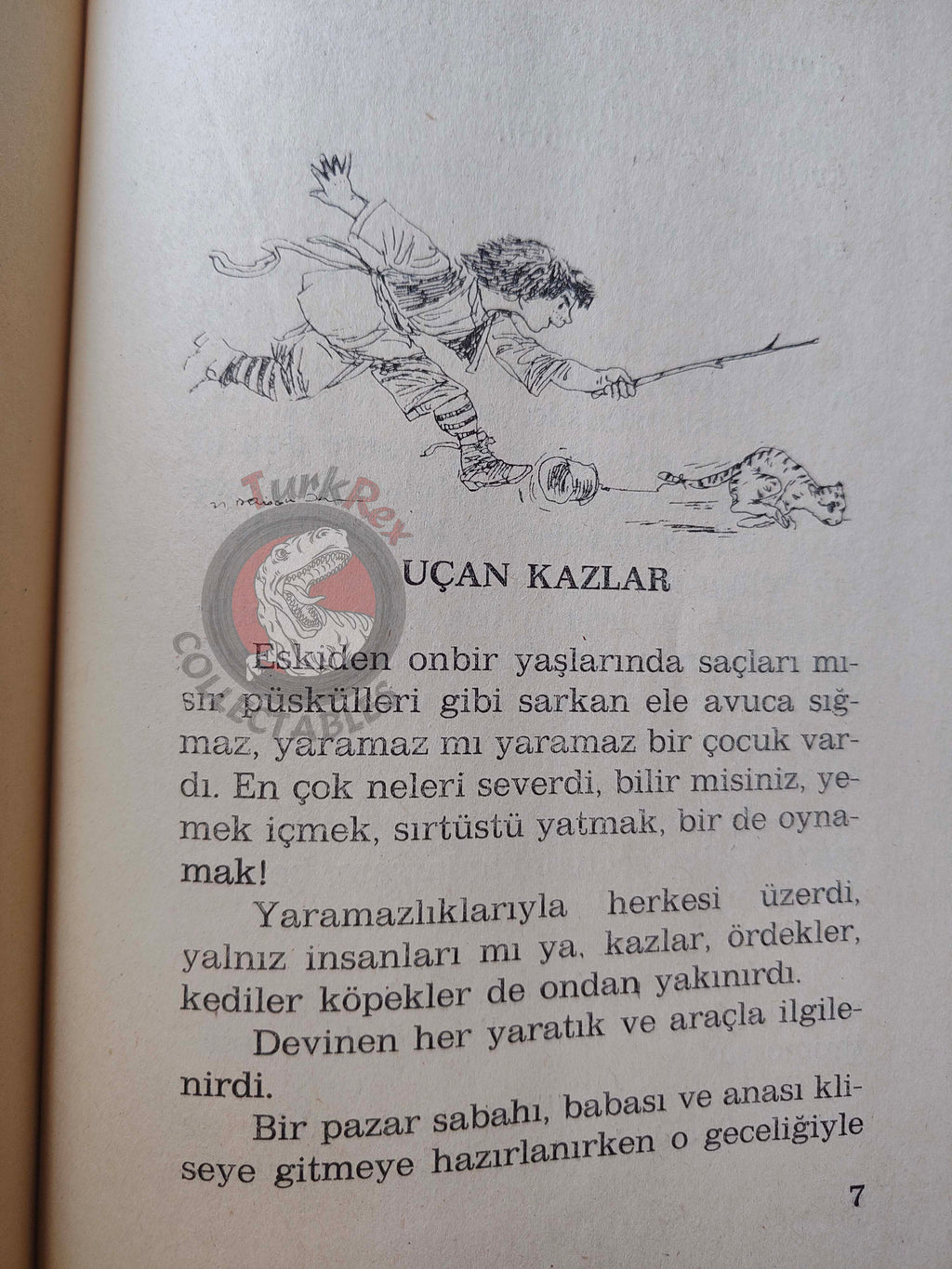 Selma Lagerlöf – The Wonderful Adventures Of Nils 90s Illustrated Turkish Book Turkey
