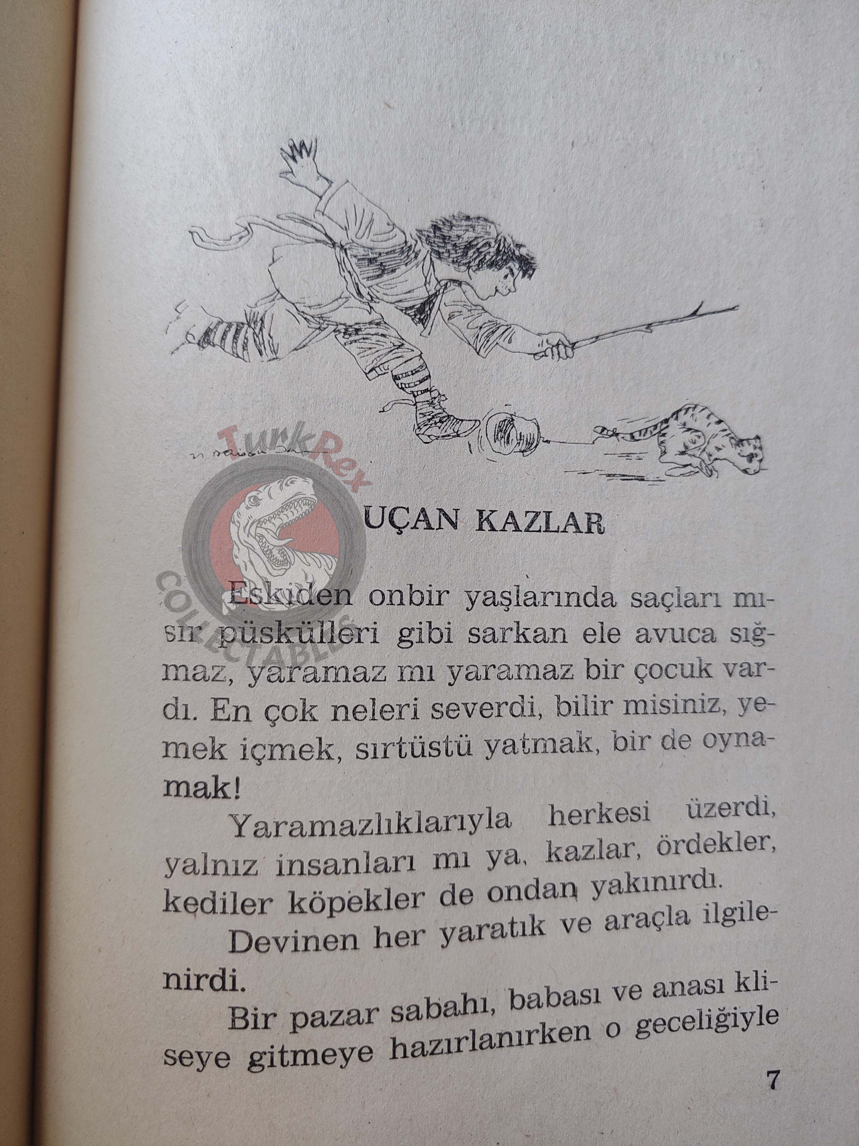 Selma Lagerlöf – The Wonderful Adventures Of Nils 90s Illustrated Turkish Book Turkey
