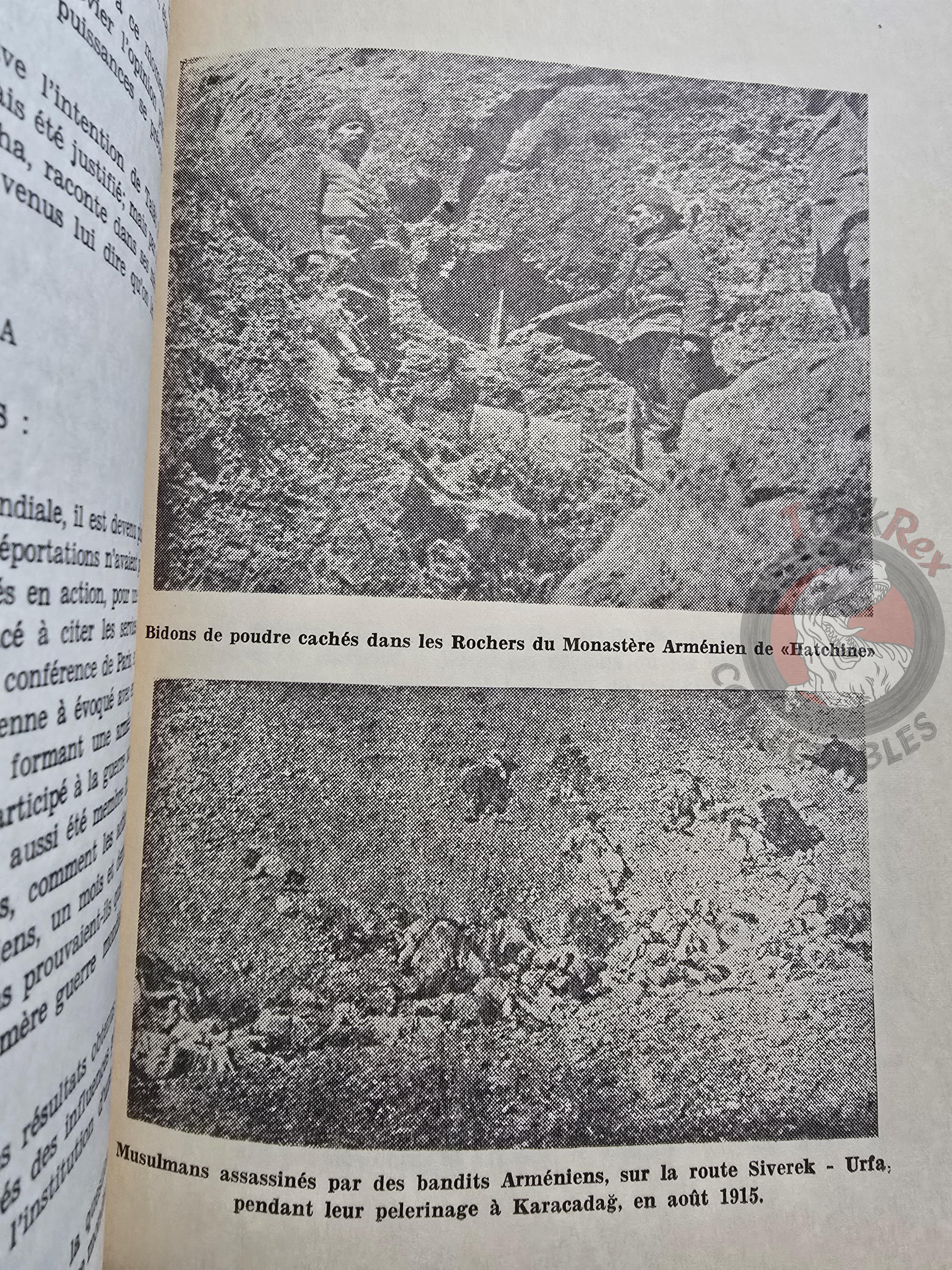 La Question Arménienne - The Armenian Question French Book Turkey Armenia