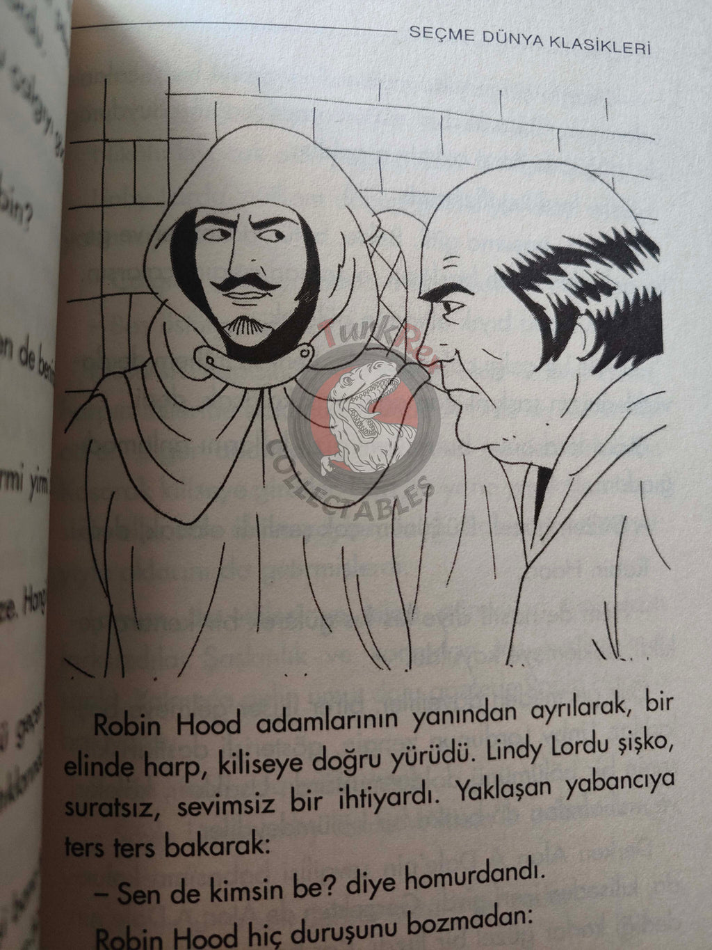 Robin Hood – Howard Pyle 2005 Turkish Book Turkey Illustrated