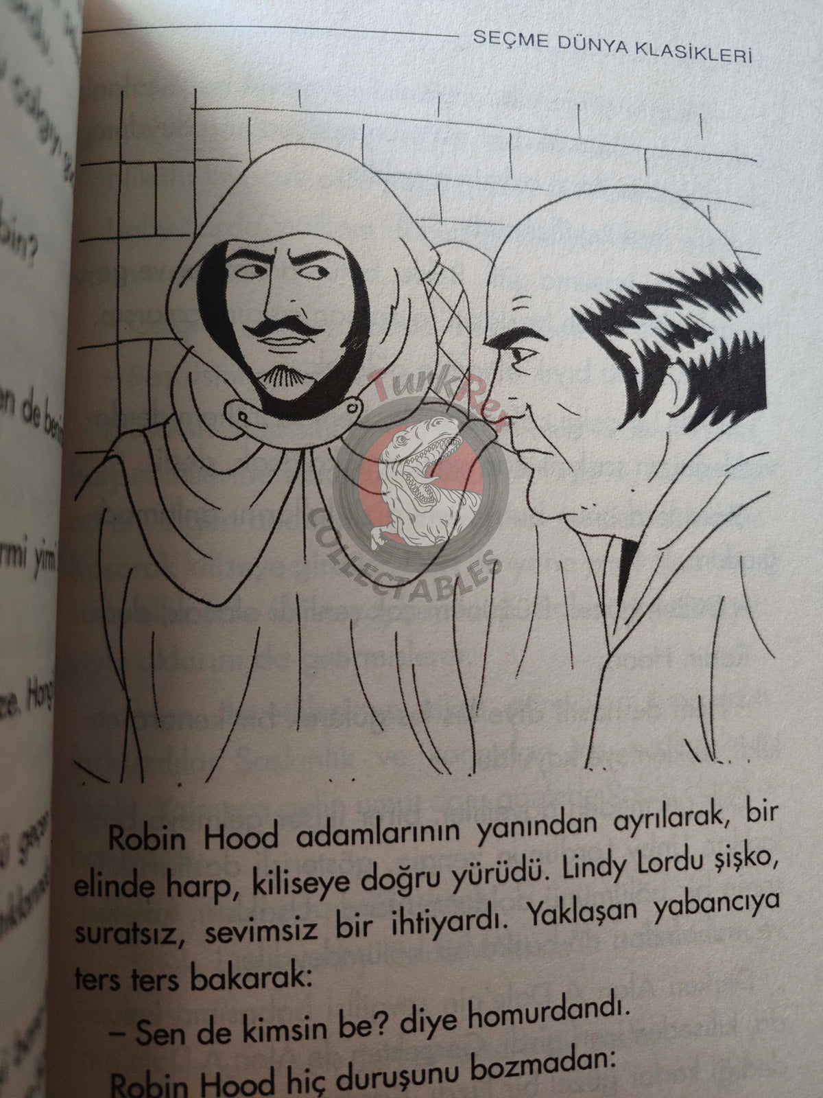 Robin Hood – Howard Pyle 2005 Turkish Book Turkey Illustrated