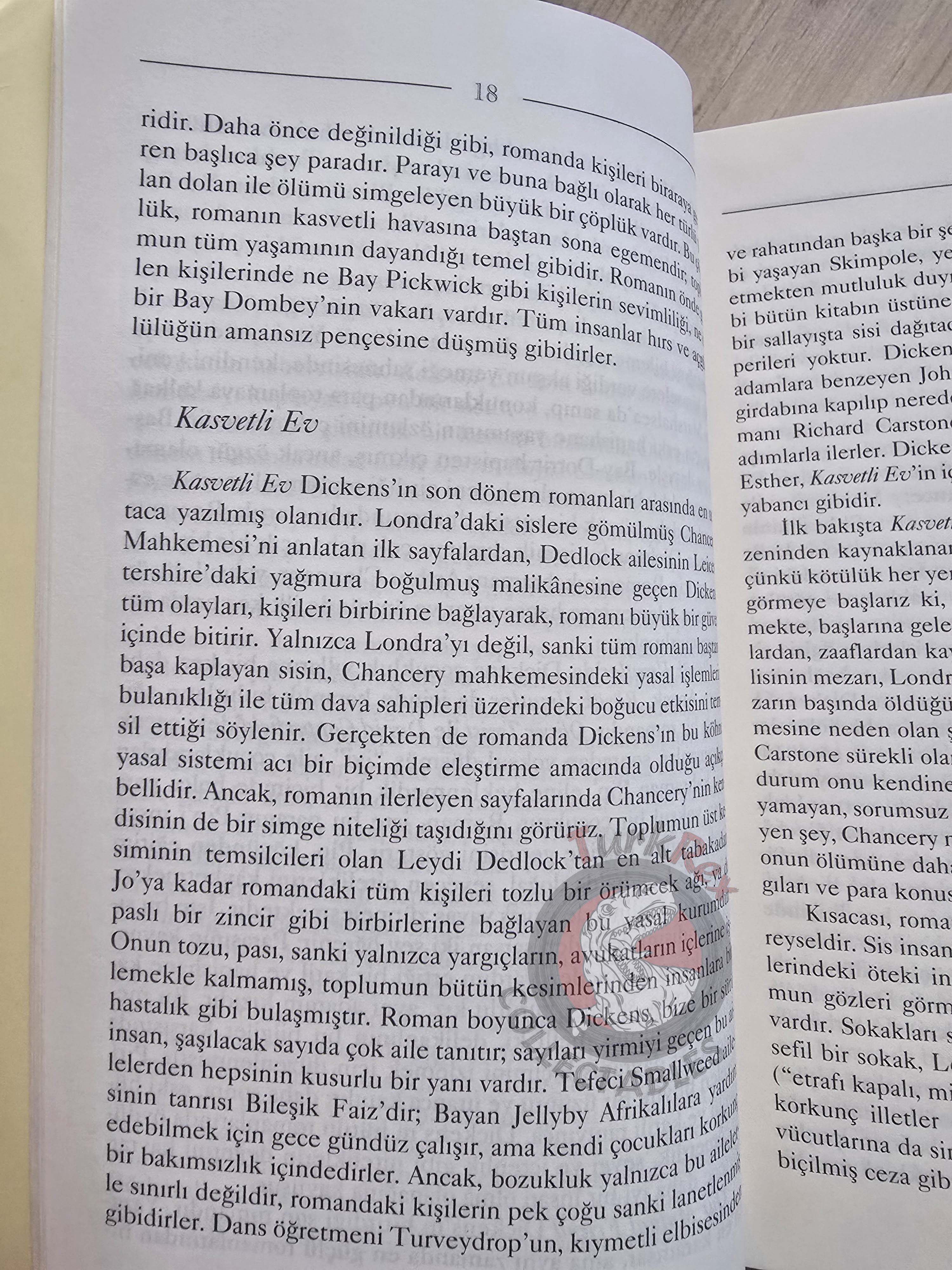 Charles Dickens – Bleak House 2008 Turkish Book Turkey