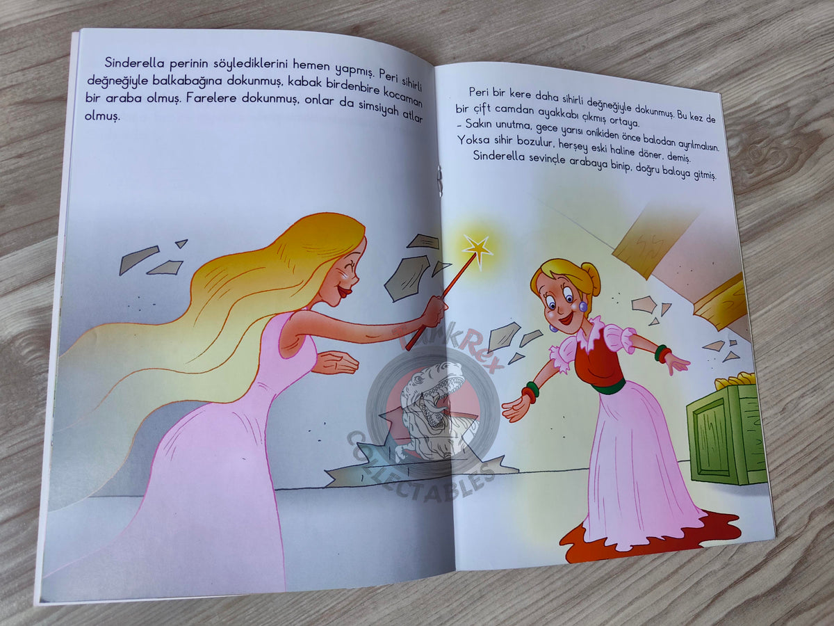 Grimm Brothers – Cinderella 2011 Turkish Book Turkey Illustrated 1