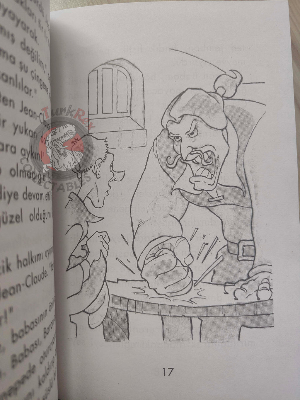 Victor Hugo – The Hunchback of Notre-Dame 2011 Illustrated Turkish Book Turkey