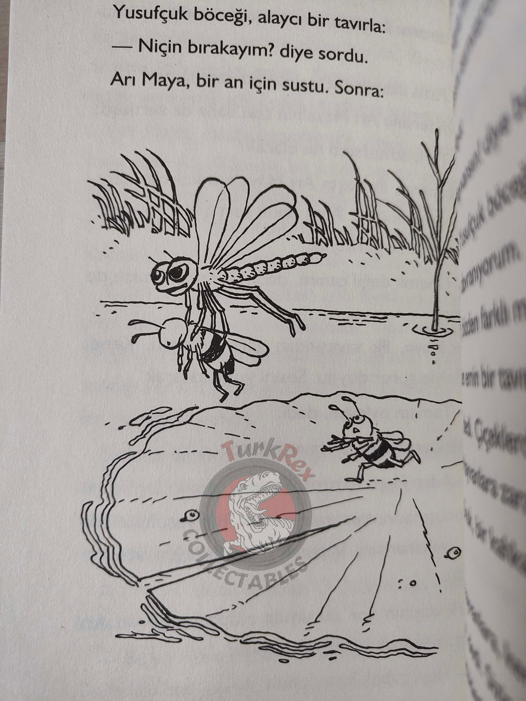 Waldemar Bonsels – Maya the Bee 2013 Turkish Book Turkey Illustrated