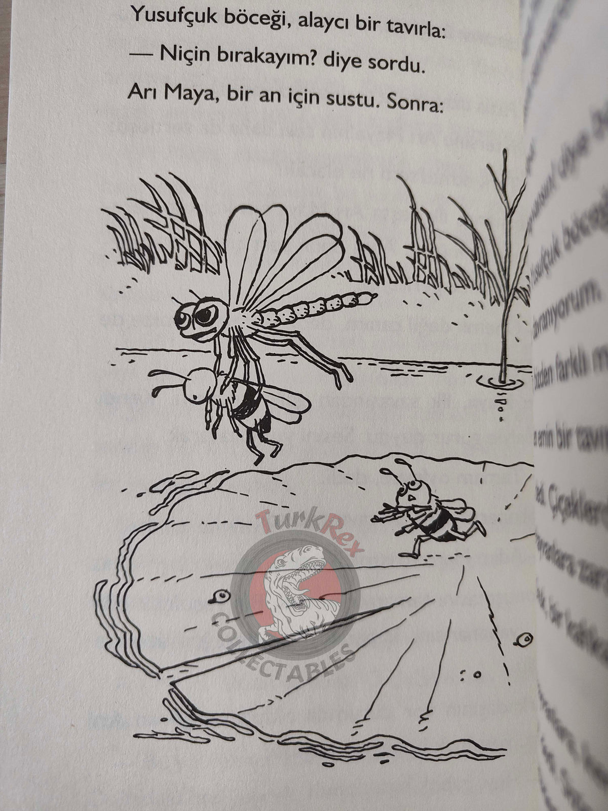 Waldemar Bonsels – Maya the Bee 2013 Turkish Book Turkey Illustrated