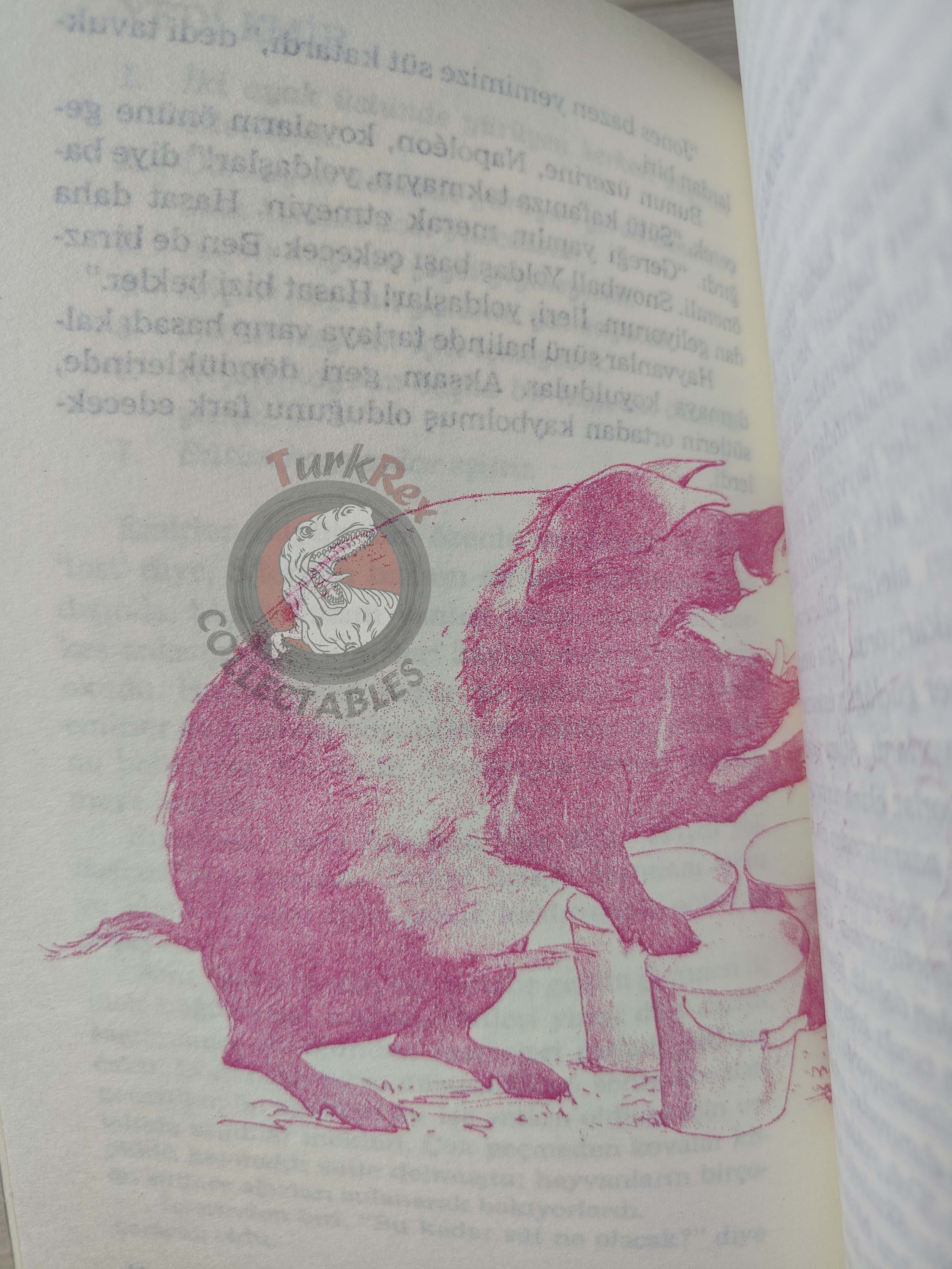 George Orwell – Animal Farm 2008 Illustrated Turkish Book Turkey