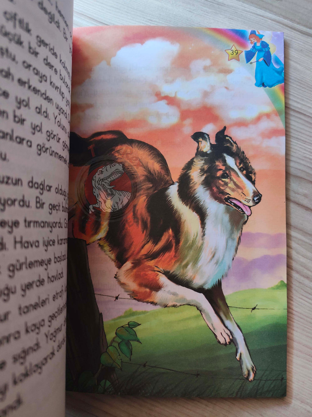 Eric Knight – Lassie 2010 Turkish Book Turkey Illustrated