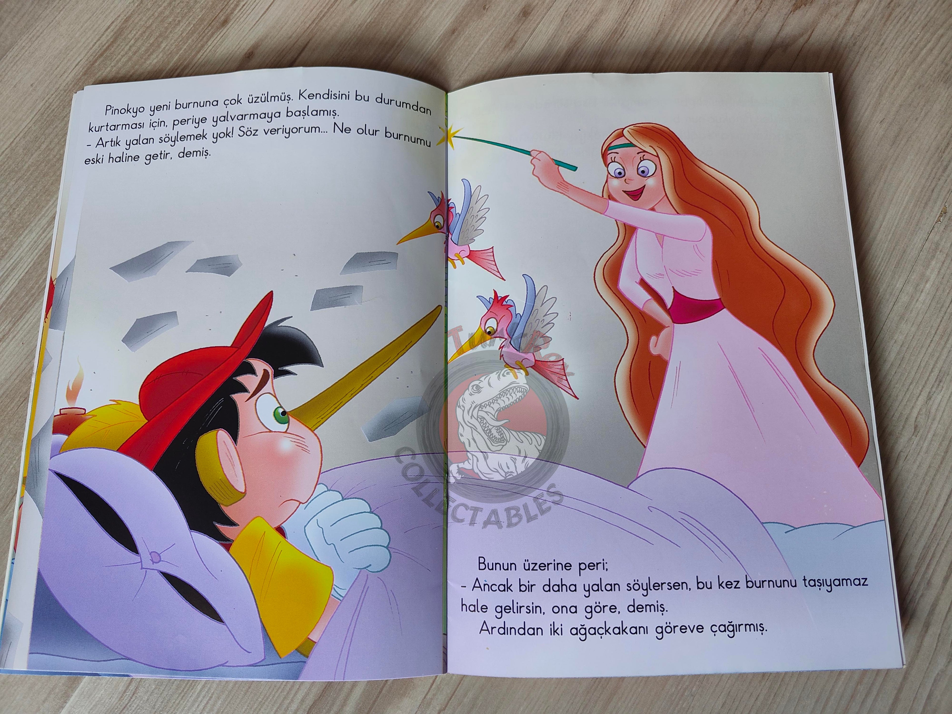 Carlo Collodi – Pinocchio 2011 Turkish Book Turkey Illustrated