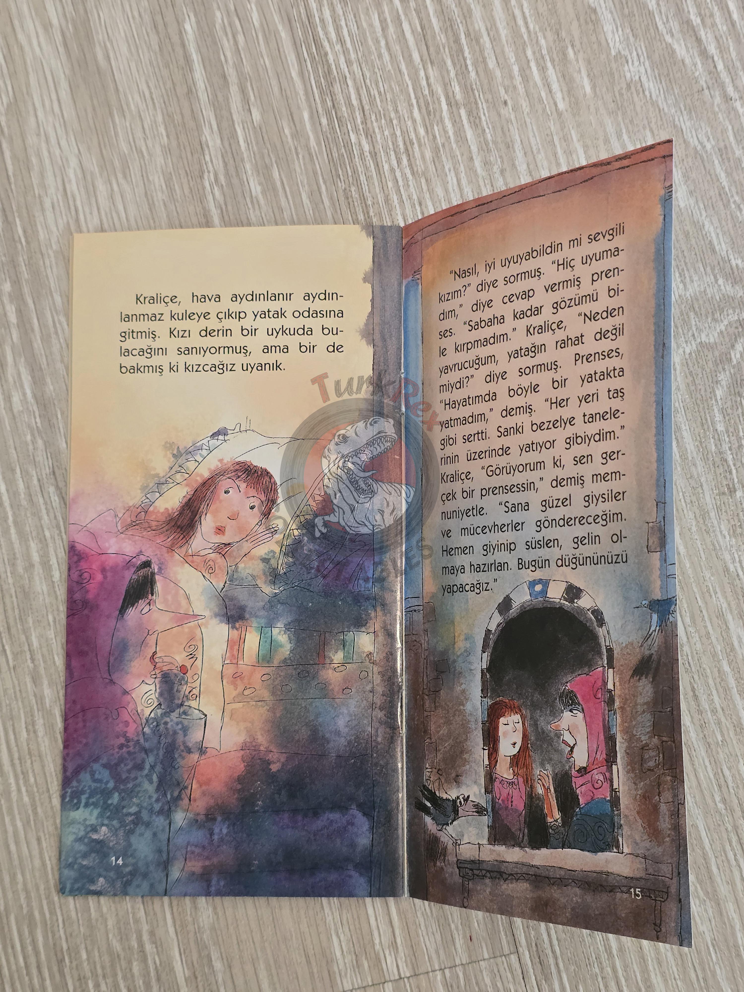 Grimm Brothers – The Princess and the Pea 2011 Turkish Book Turkey Illustrated