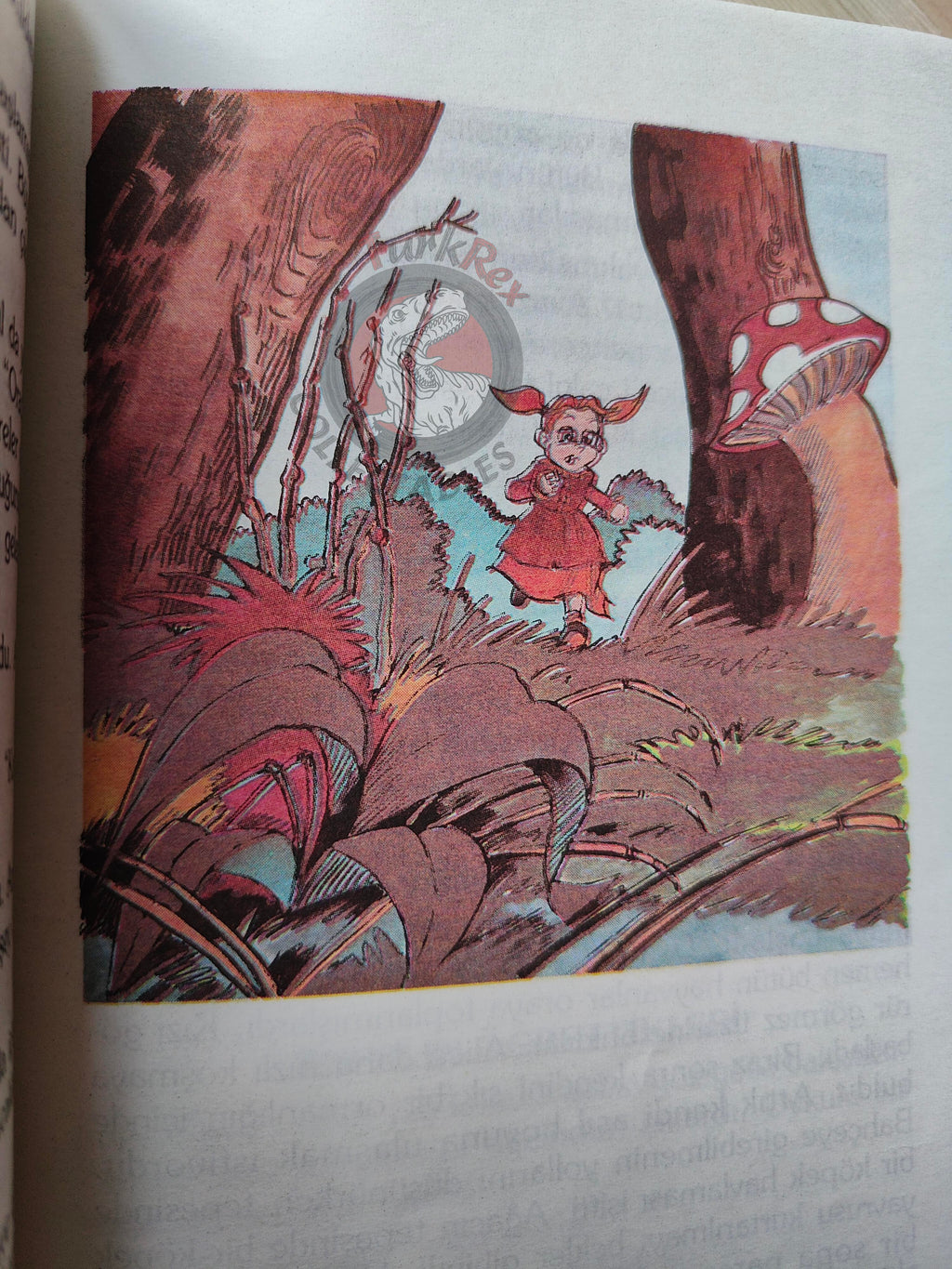Lewis Carroll – Alice in Wonderland 1996 Turkish Book Turkey Illustrated